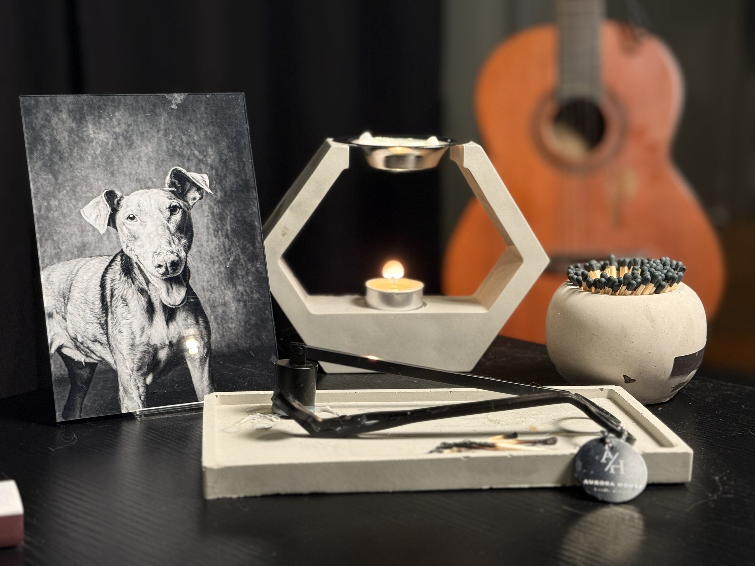 Black and white dog portrait next to a lit candle in a geometric holder, matches in a round container, a guitar in the background, and a small metal tag with the text 'Aurora House' on a stand.