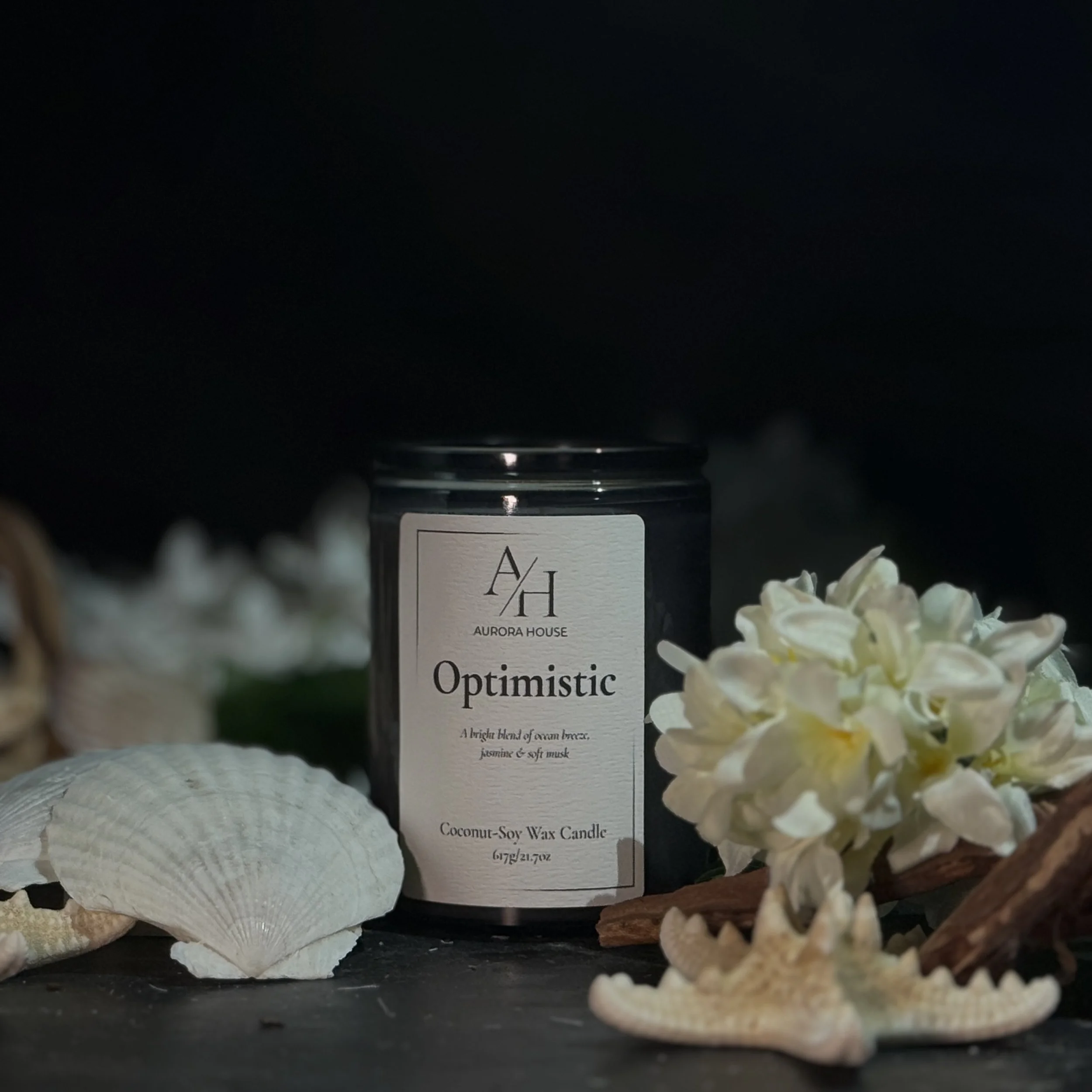 Aurora House 12oz candle Optimistic with shells and starfish and jasmine