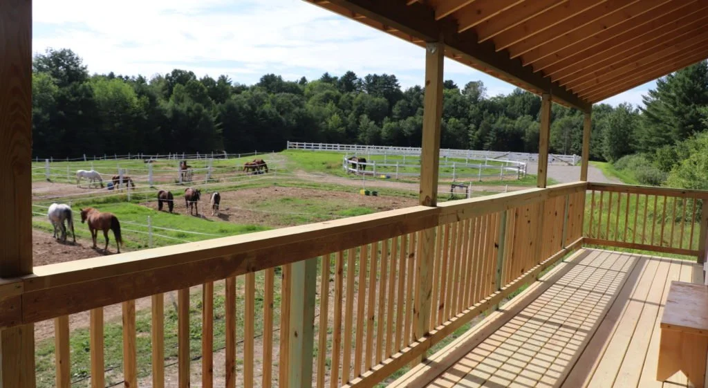 View from wooden deck overlooking horse paddocks and trees in the background on a sunny day.