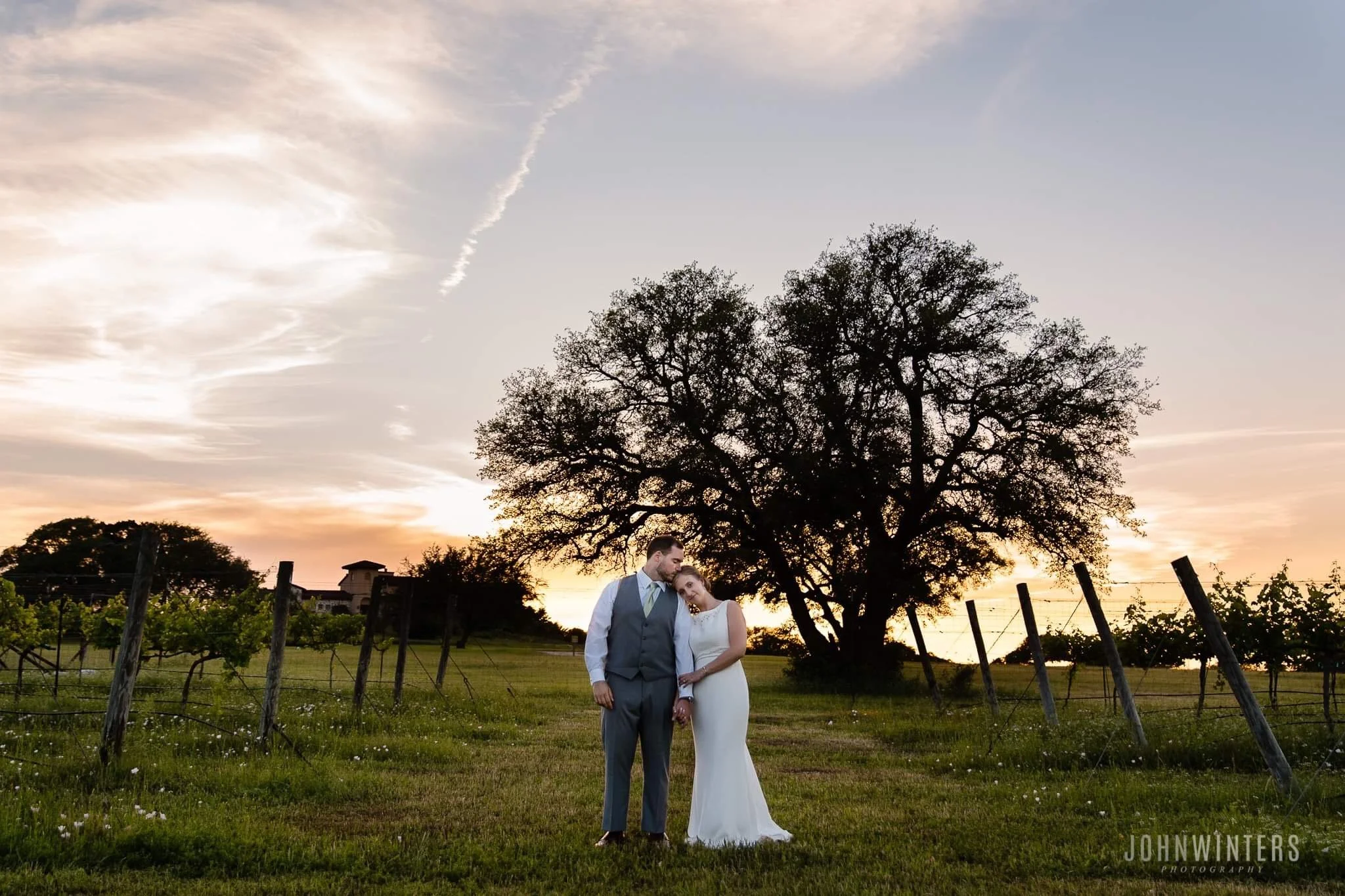 Bride and Groom at sunset in a vineyard field at the Vineyard in Florence Texas and photo by John Winters