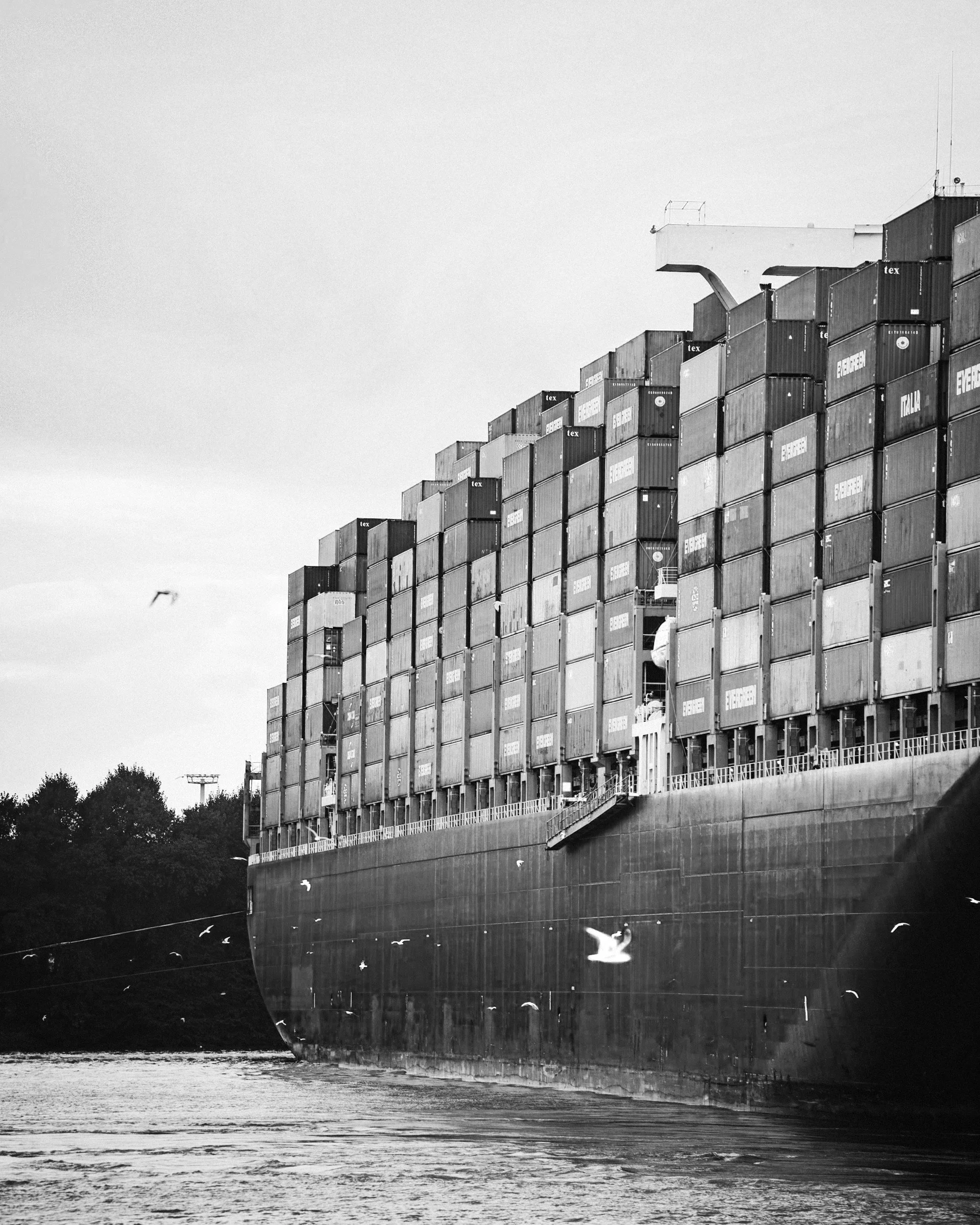Large cargo ship with stacked shipping containers on a river, seagulls flying nearby.