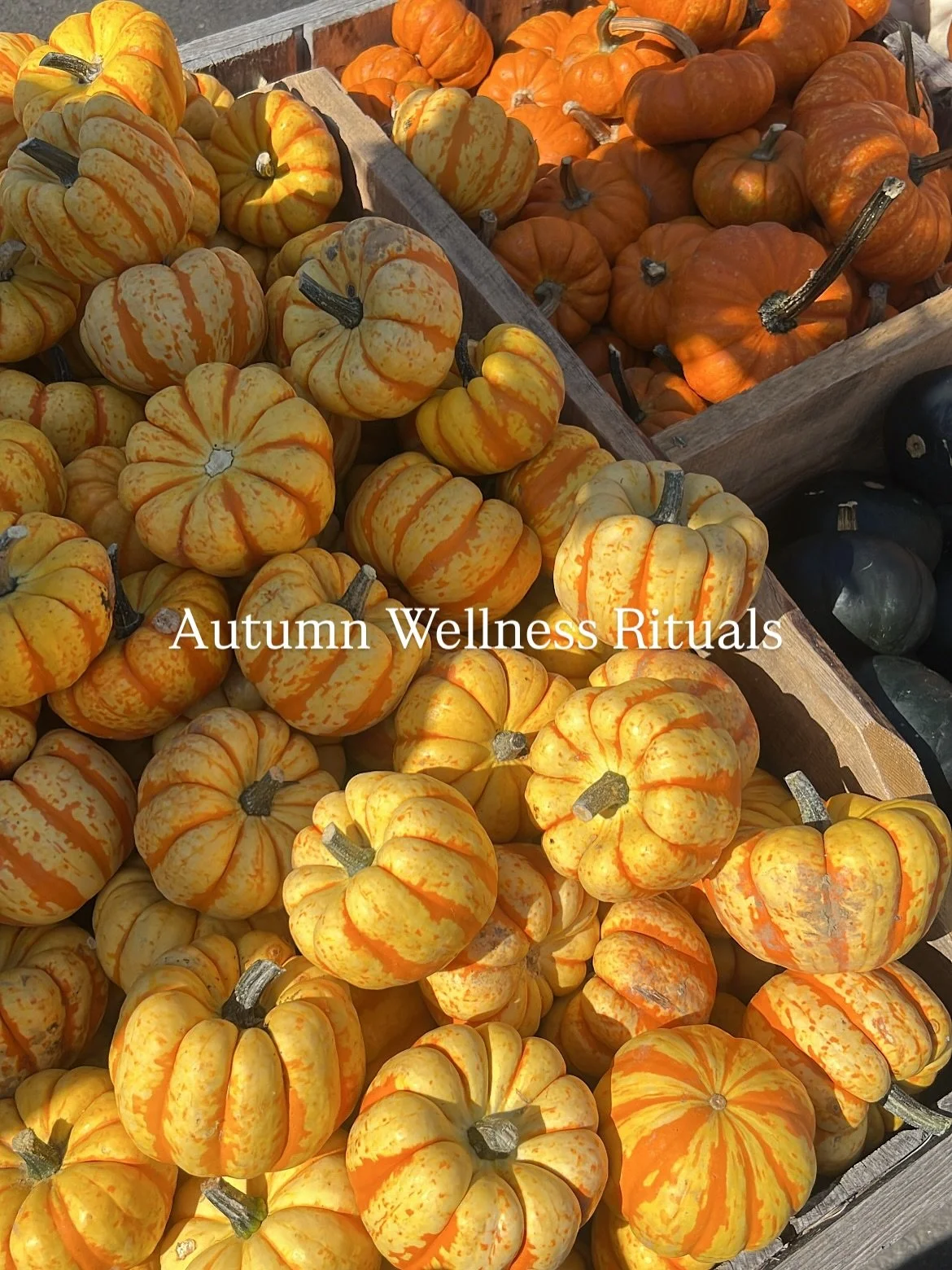 As the season shifts, so do we 🌬️🍂

Autumn mornings especially call for more warmth and grounding. In TCM, Autumn is connected to the lungs + large Intestines, organs that remind us to breathe deeply, let go, which help prime our digestion. 

🧣Why