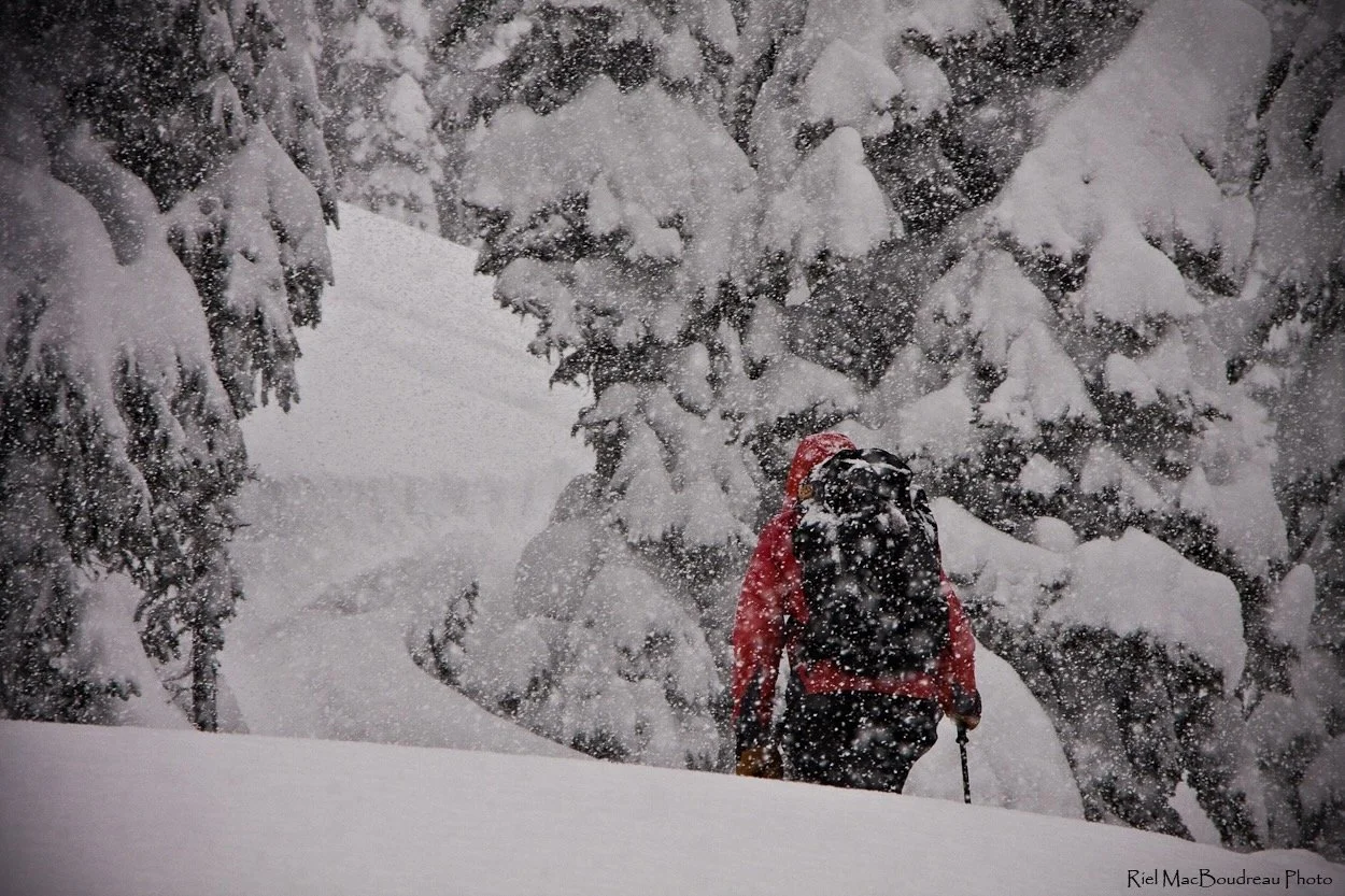 Ski touring on the uptrack in a deep December storm