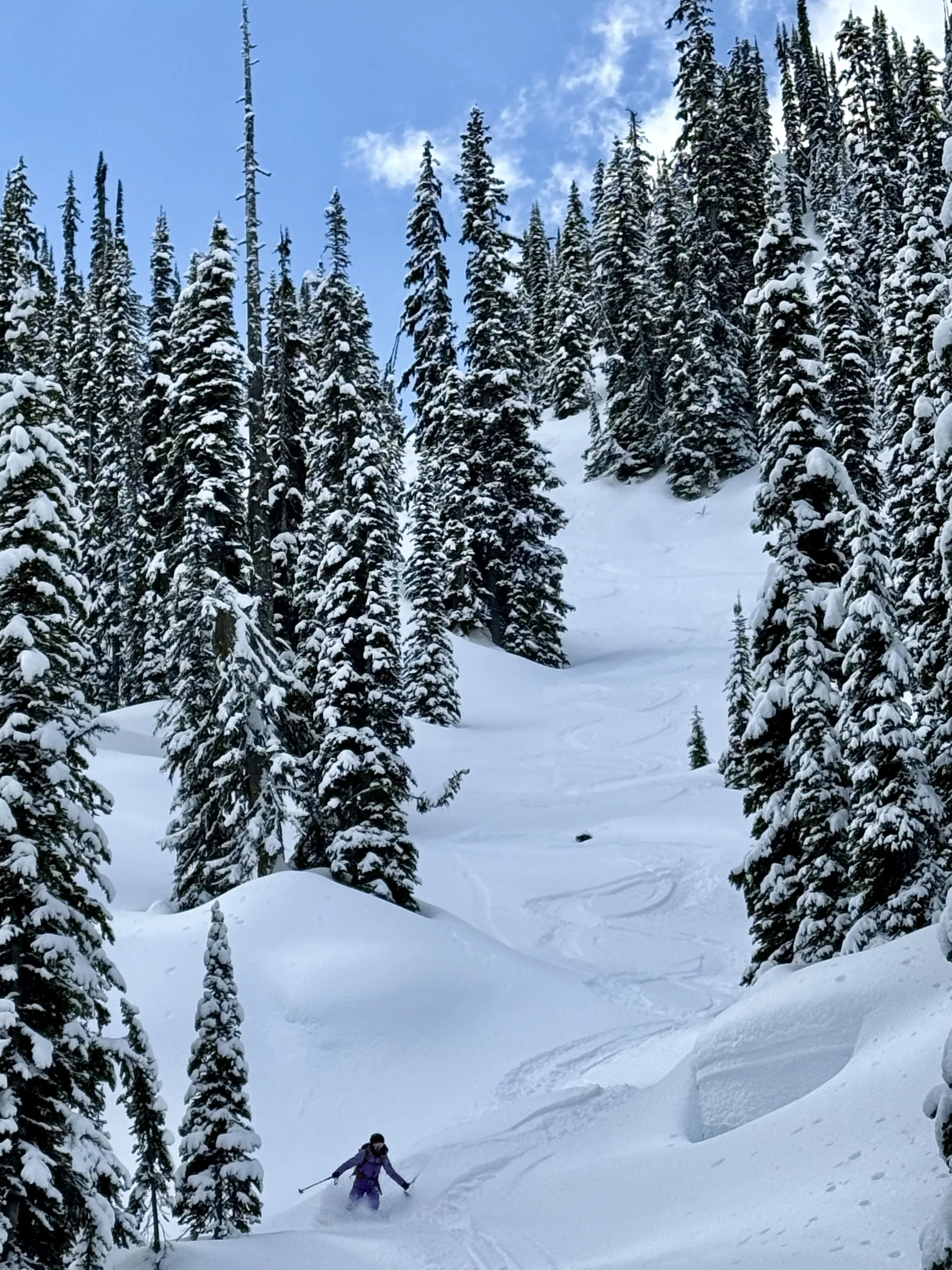 March 6, 2026.  06:00 AM