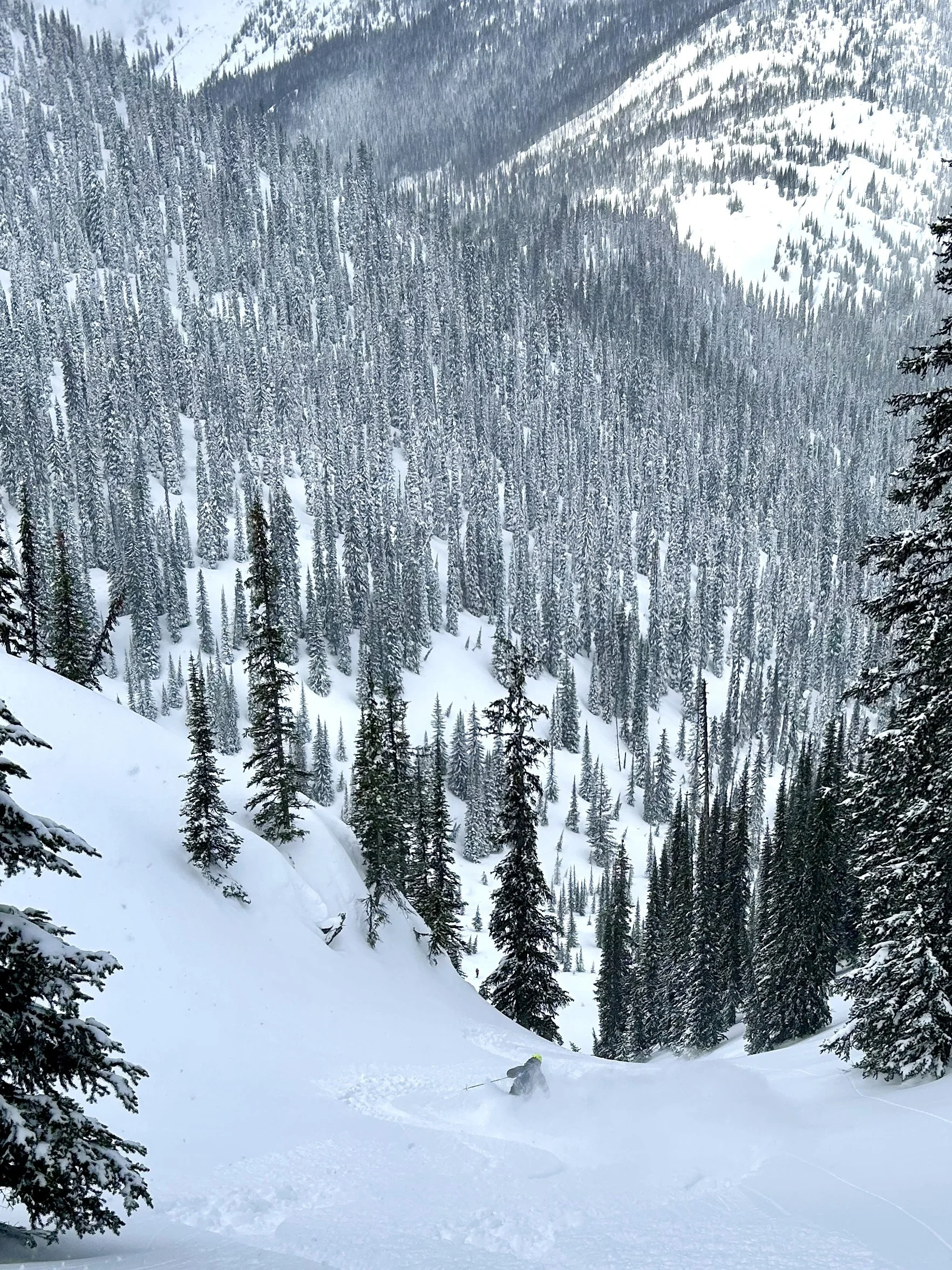 March 15, 2026.  06:00 AM