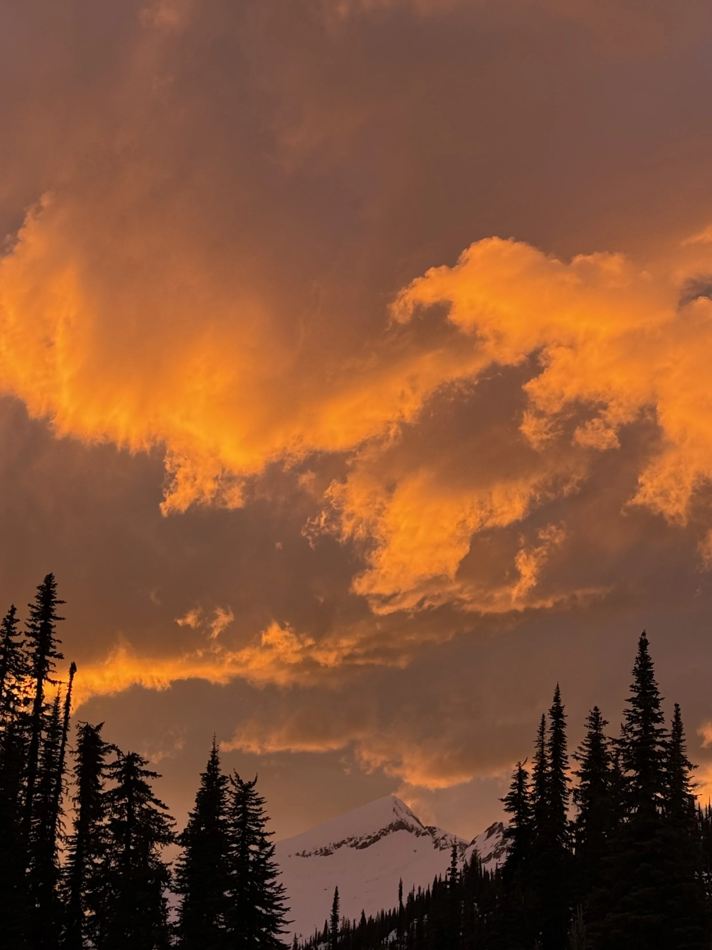 April 7, 2026.  06:00 AM