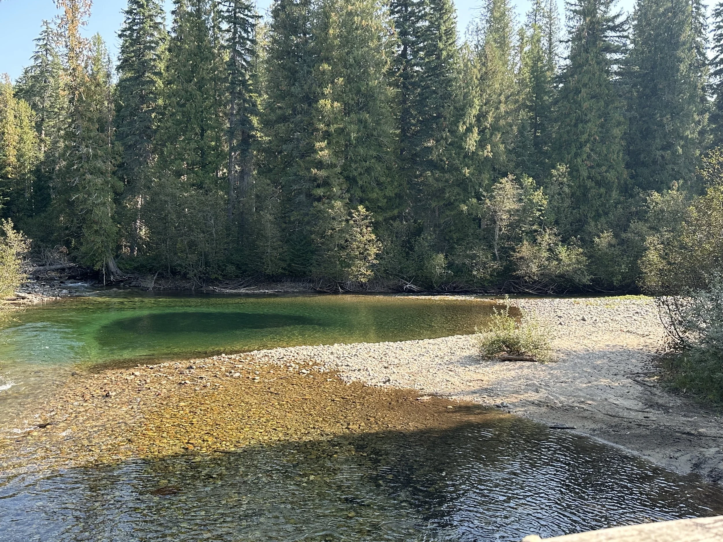 creek pool.jpeg