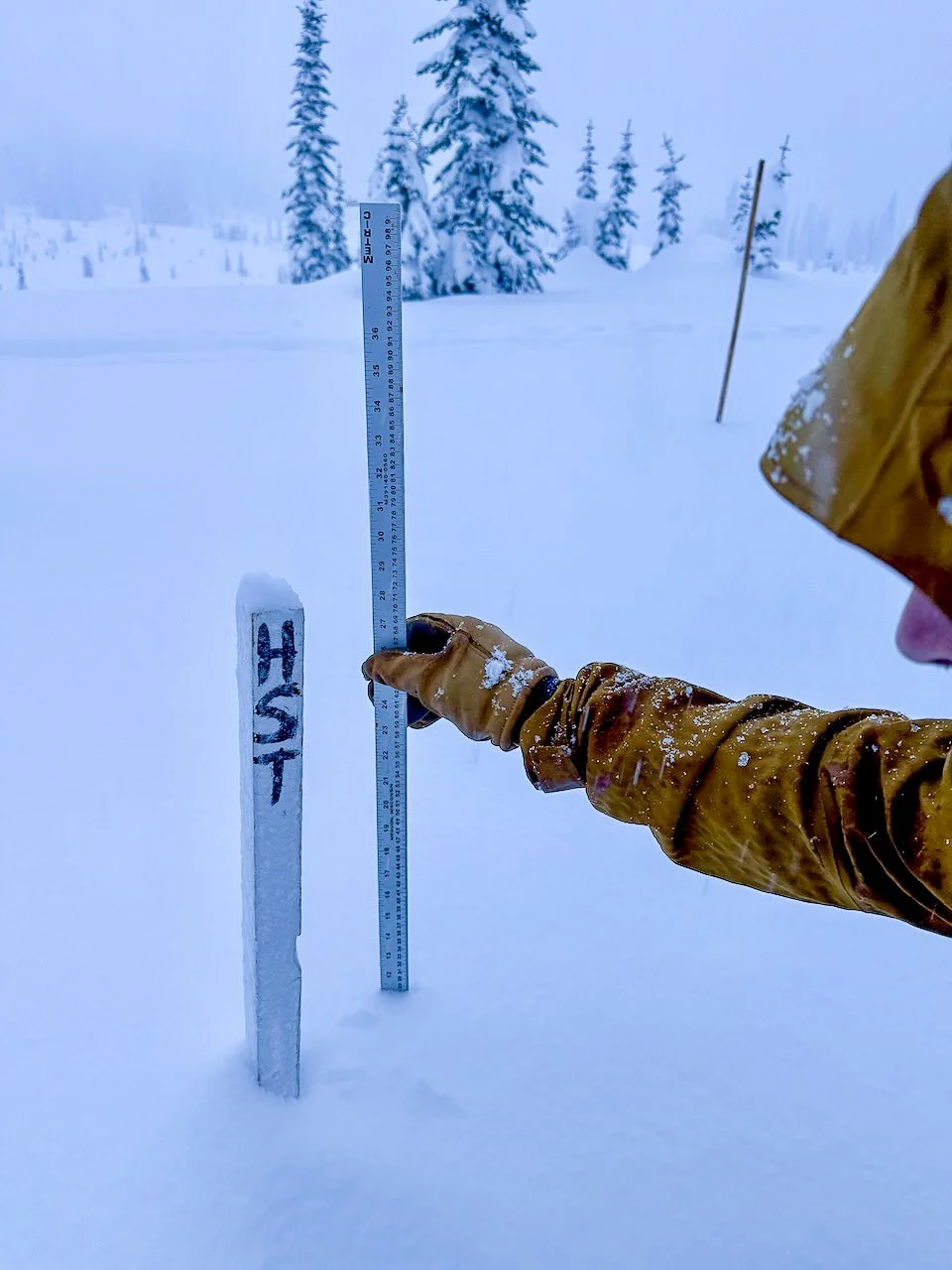A guide checking the height of snow