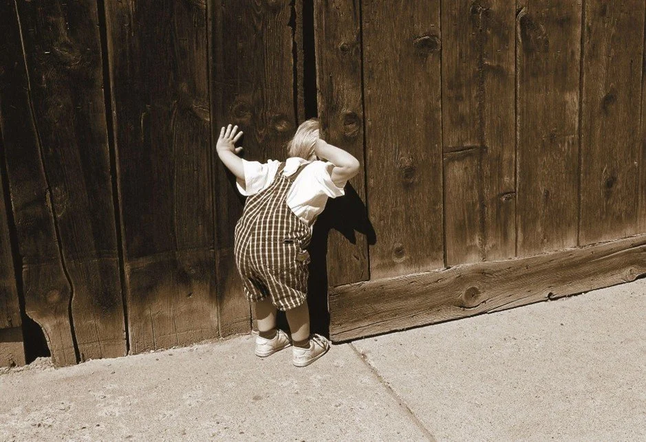 De la démangeaison mentale à l’intelligence collective : éloge de la curiosité