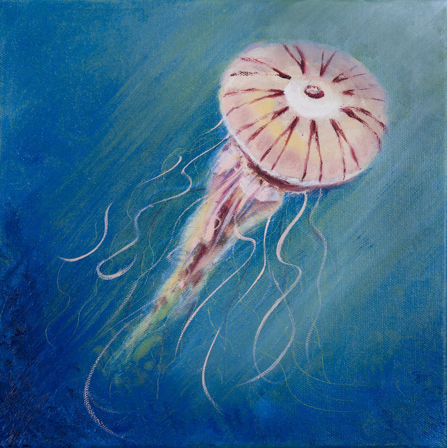 Guided by the tide, oil on canvas, 25 x 25cm, framed : €345