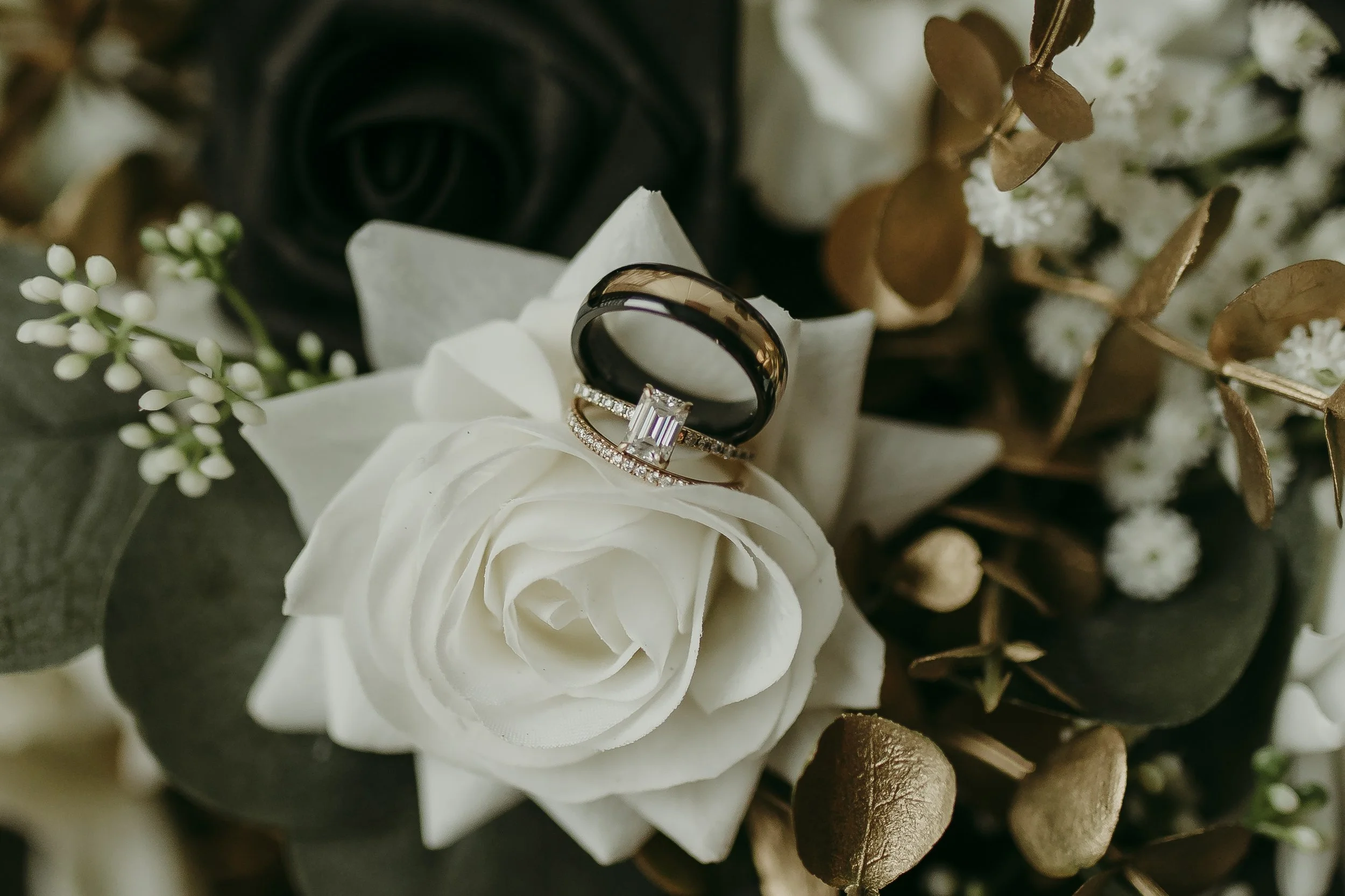 DK Getting Ready34.jpg