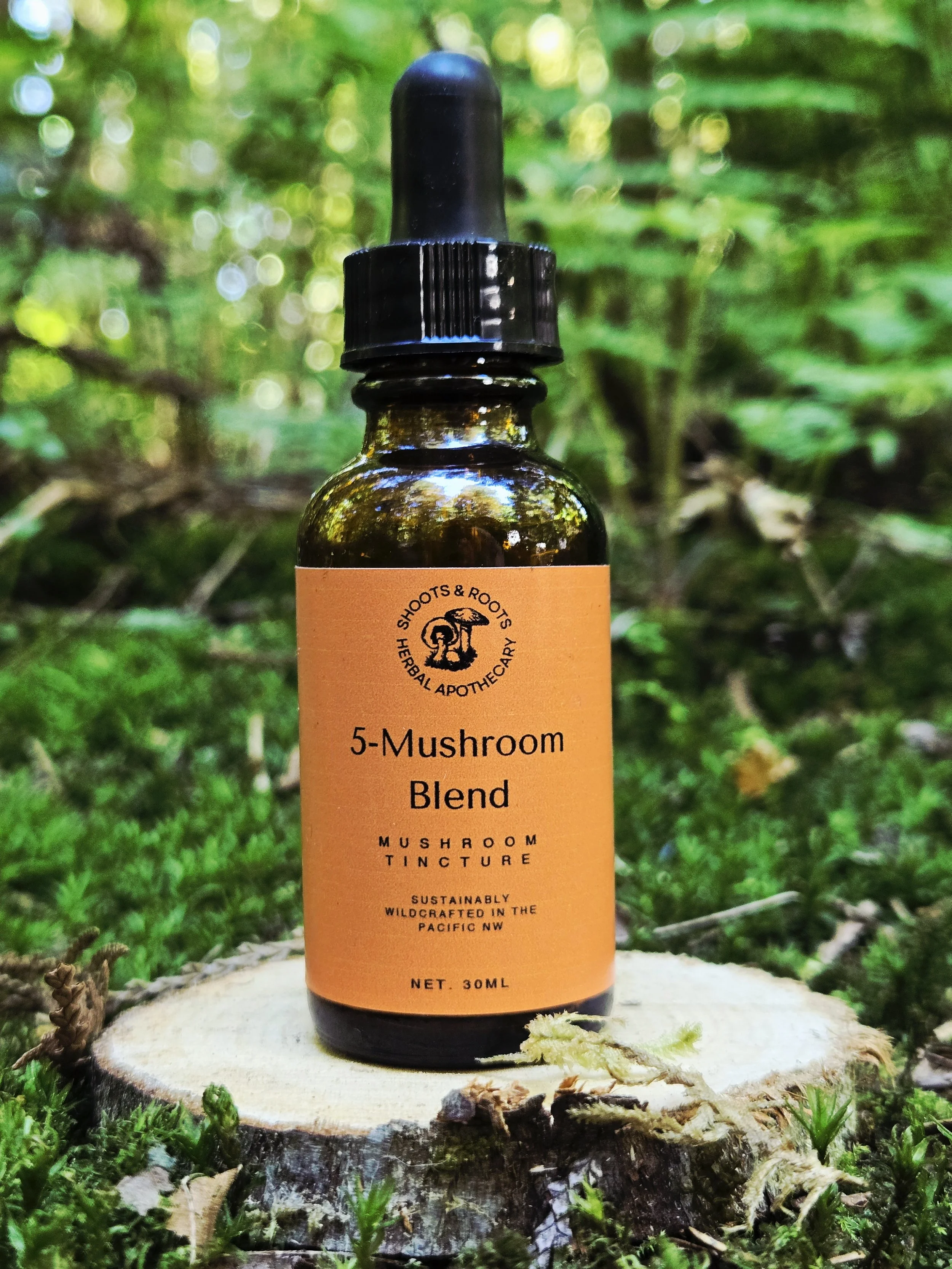 5-Mushroom Blend