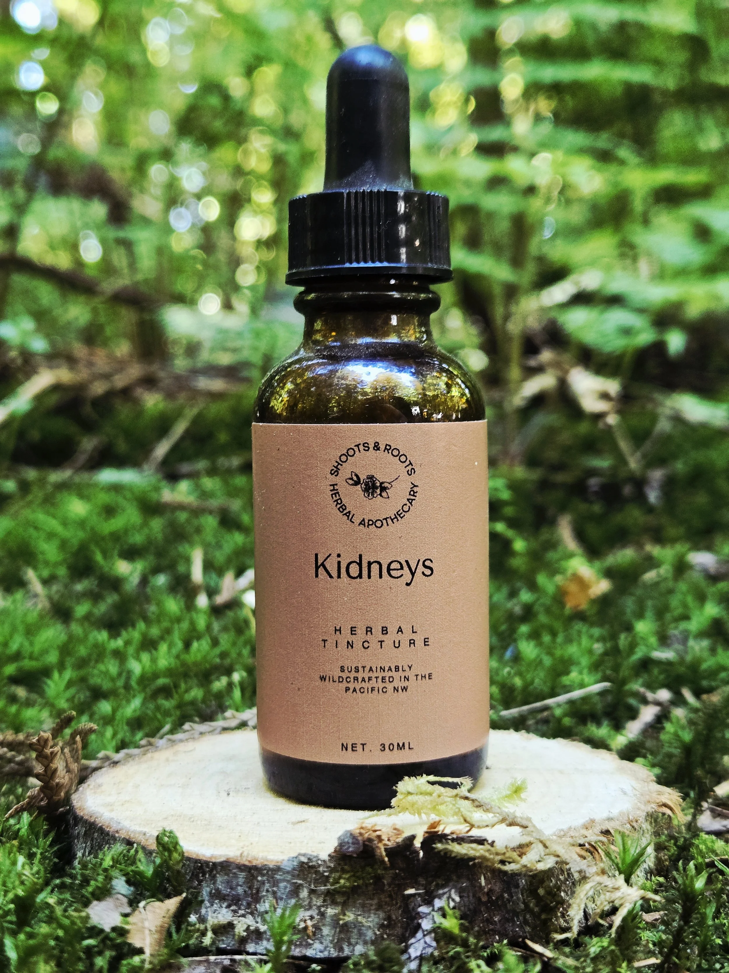 KIDNEYS.jpg
