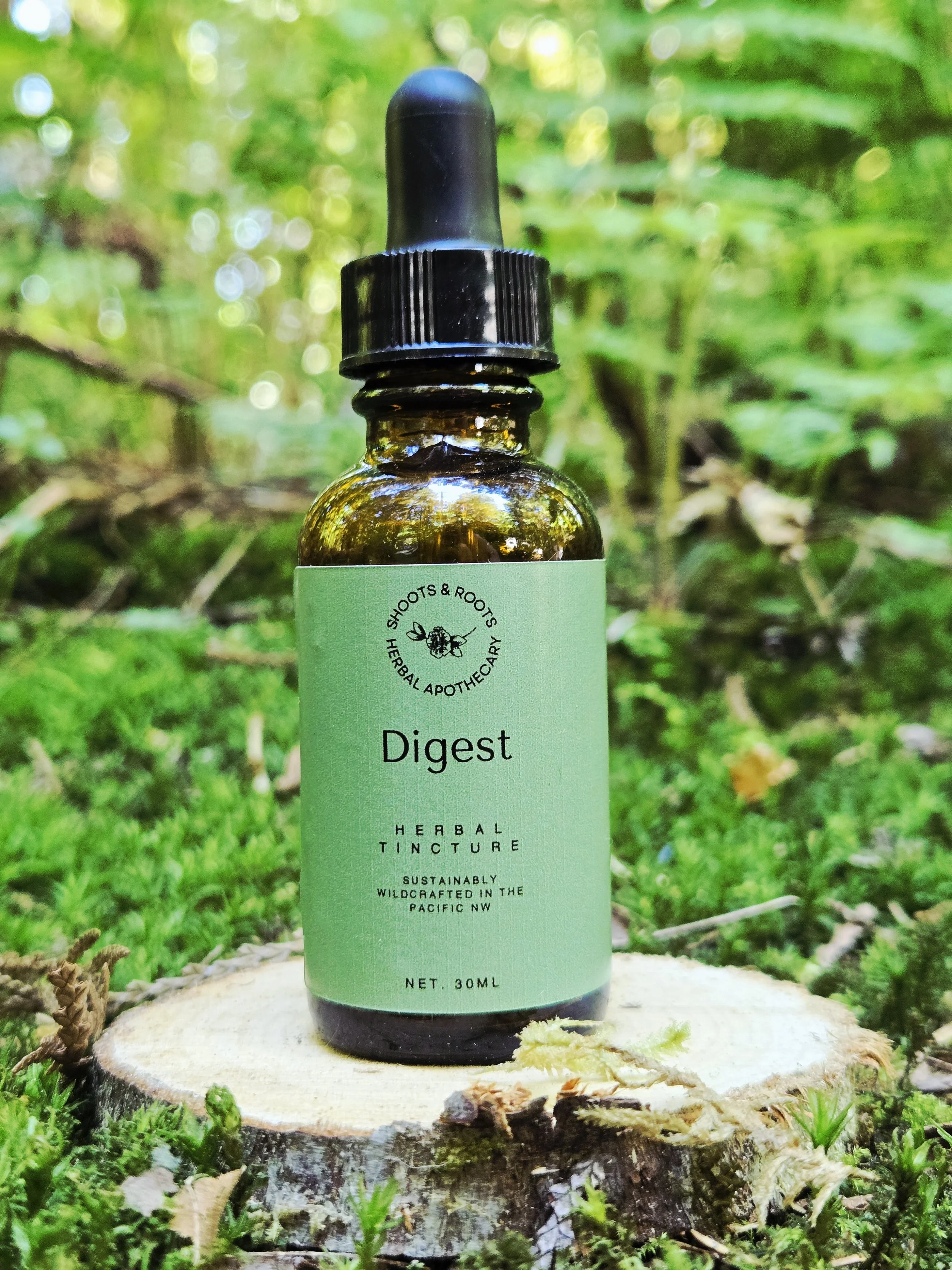 DIGEST.jpg