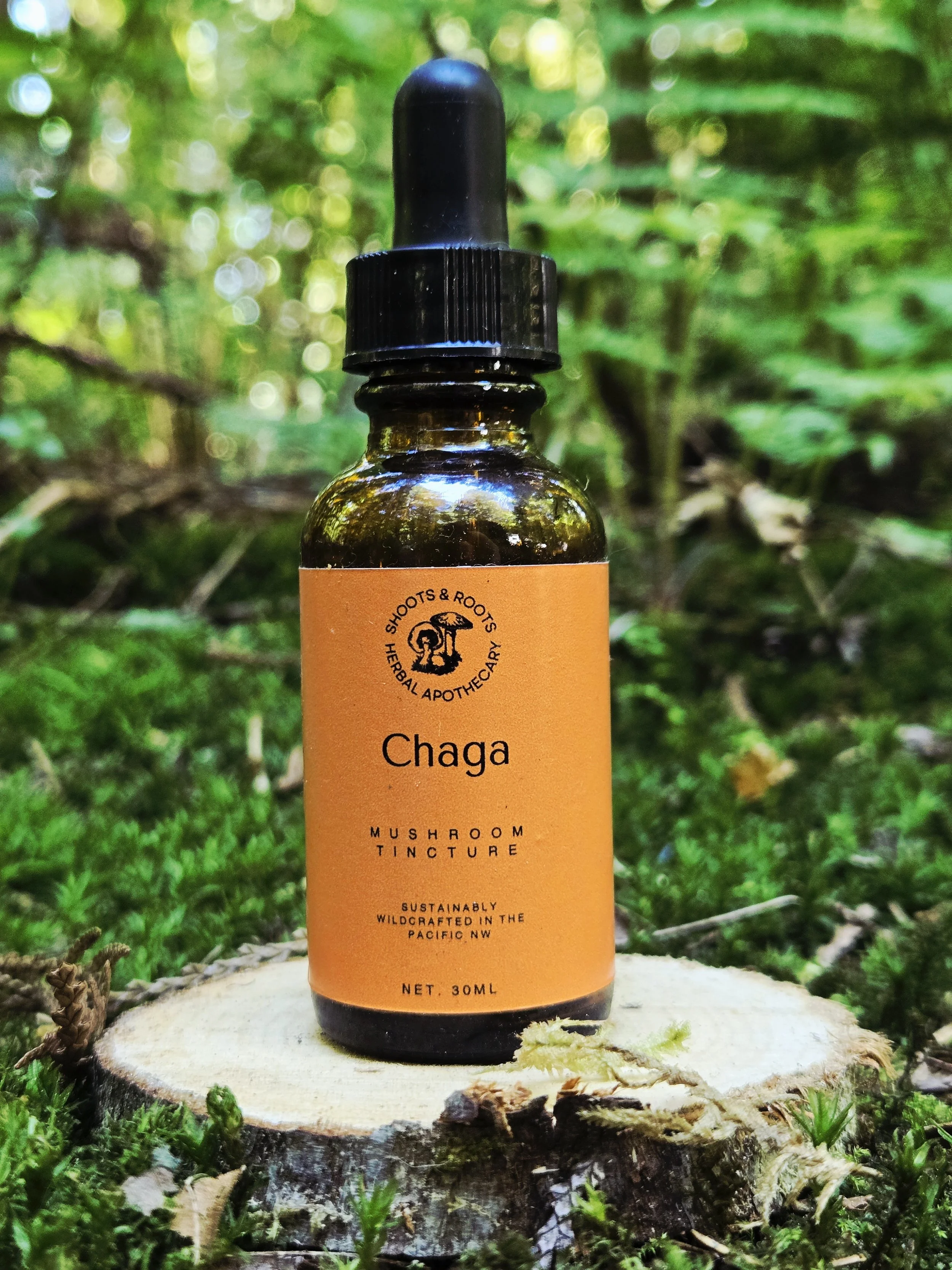 Chaga