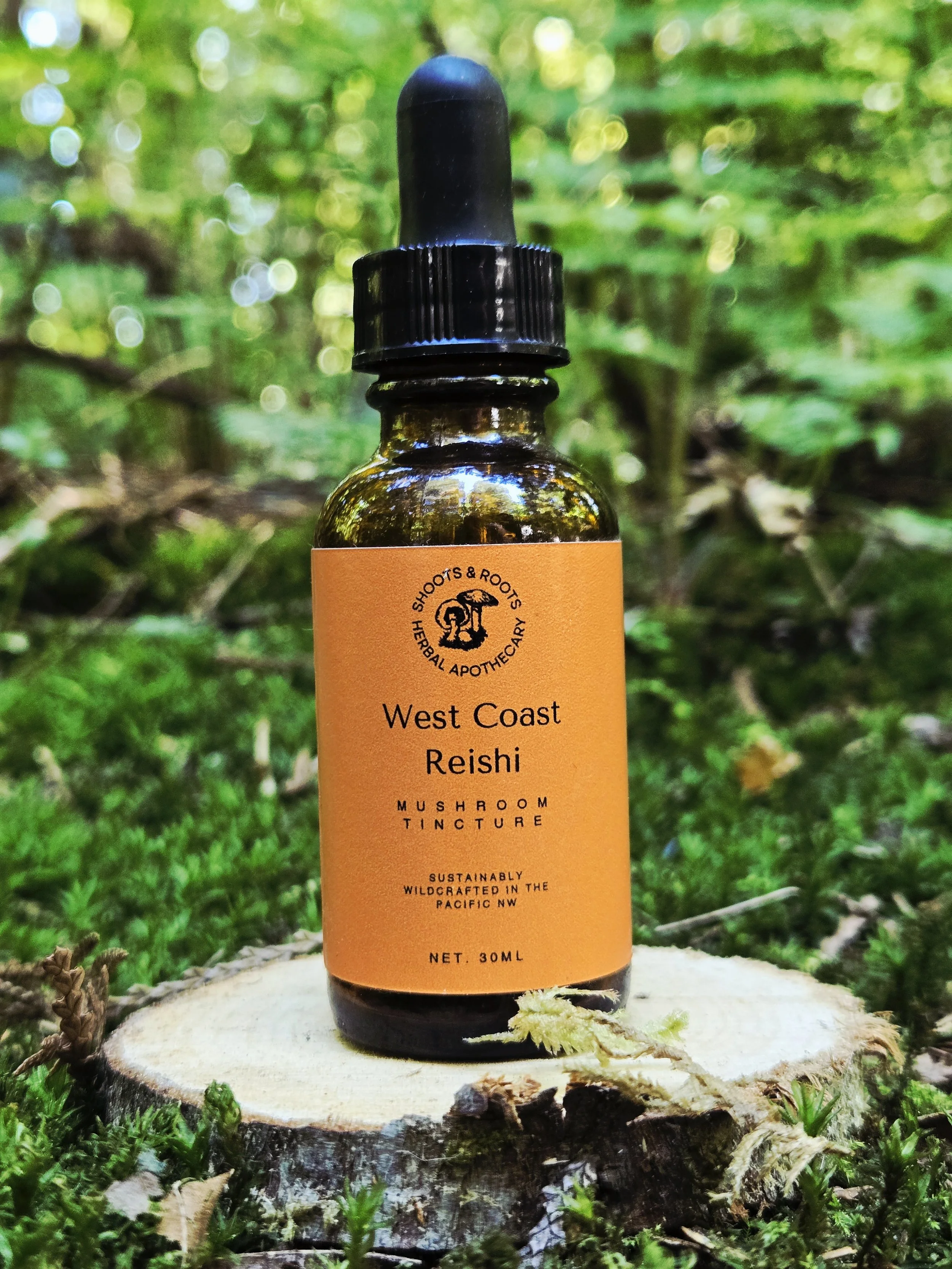 West Coast Reishi