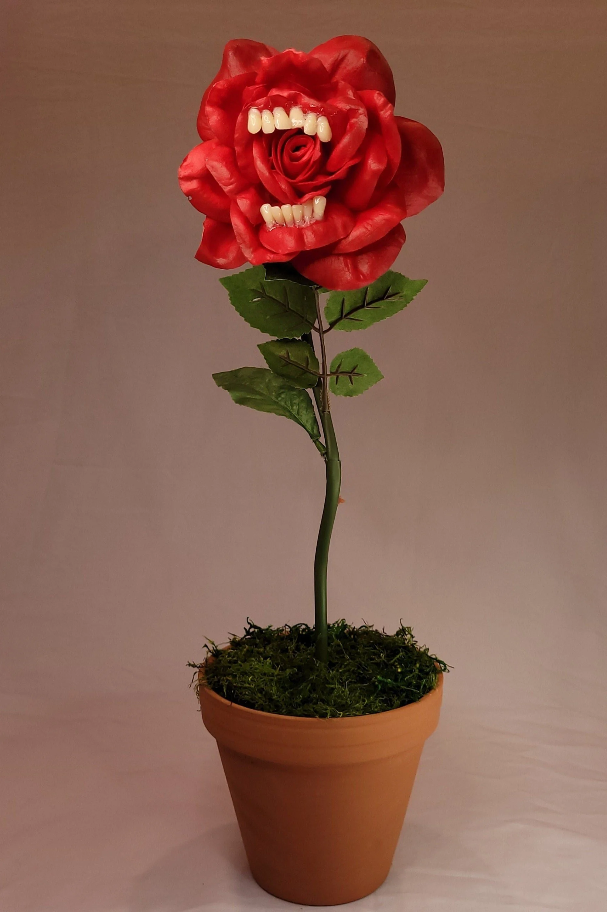 Carnivorous Rose.jpg