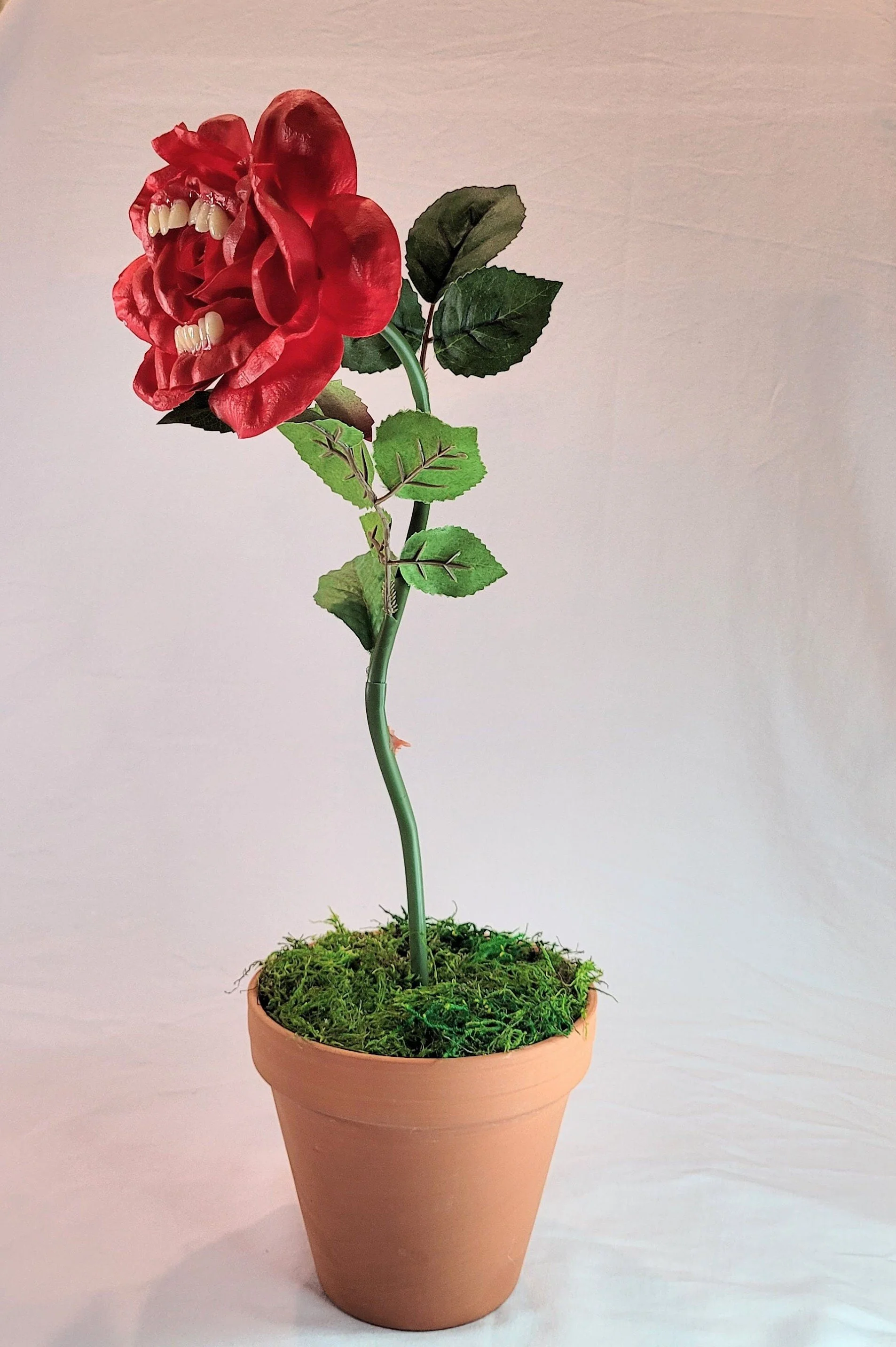 Carnivorous Rose2.jpg