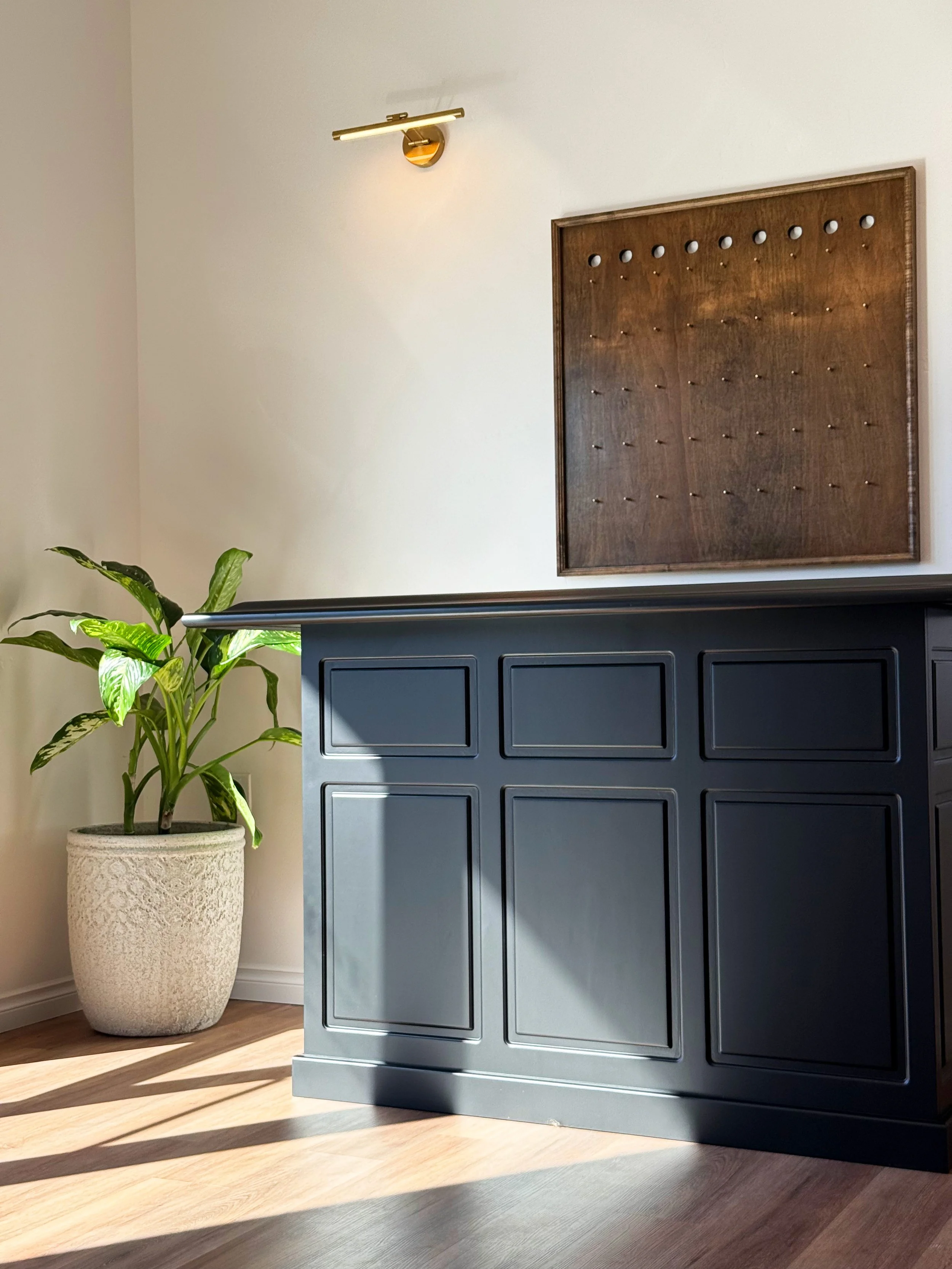 Interior view of a modern room with a blue cabinet, a large potted green plant, and a wooden wall art panel, with sunlight casting shadows on the hardwood floor.