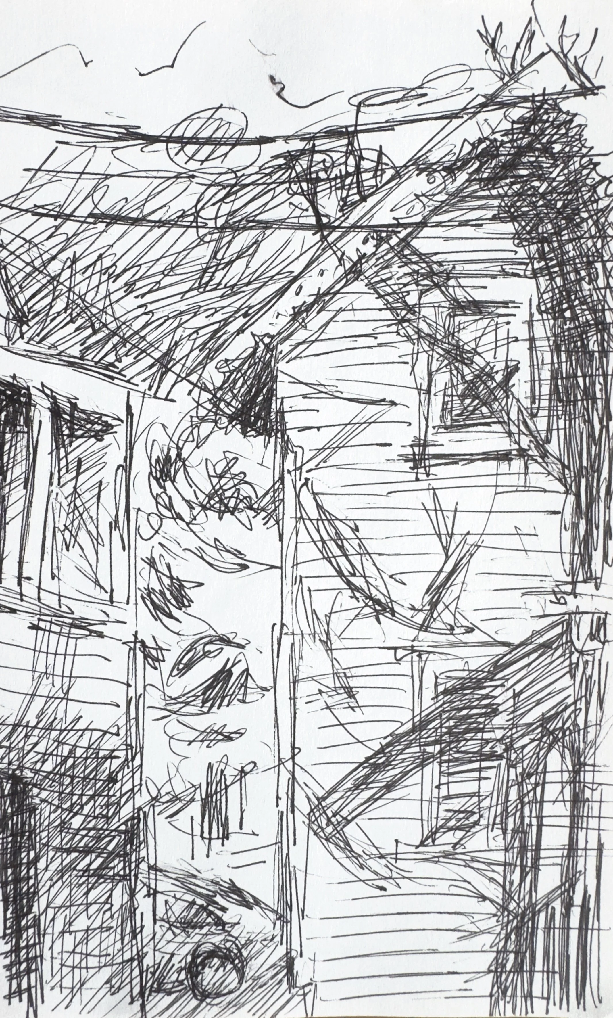 Crapo_drawing_2205.jpg