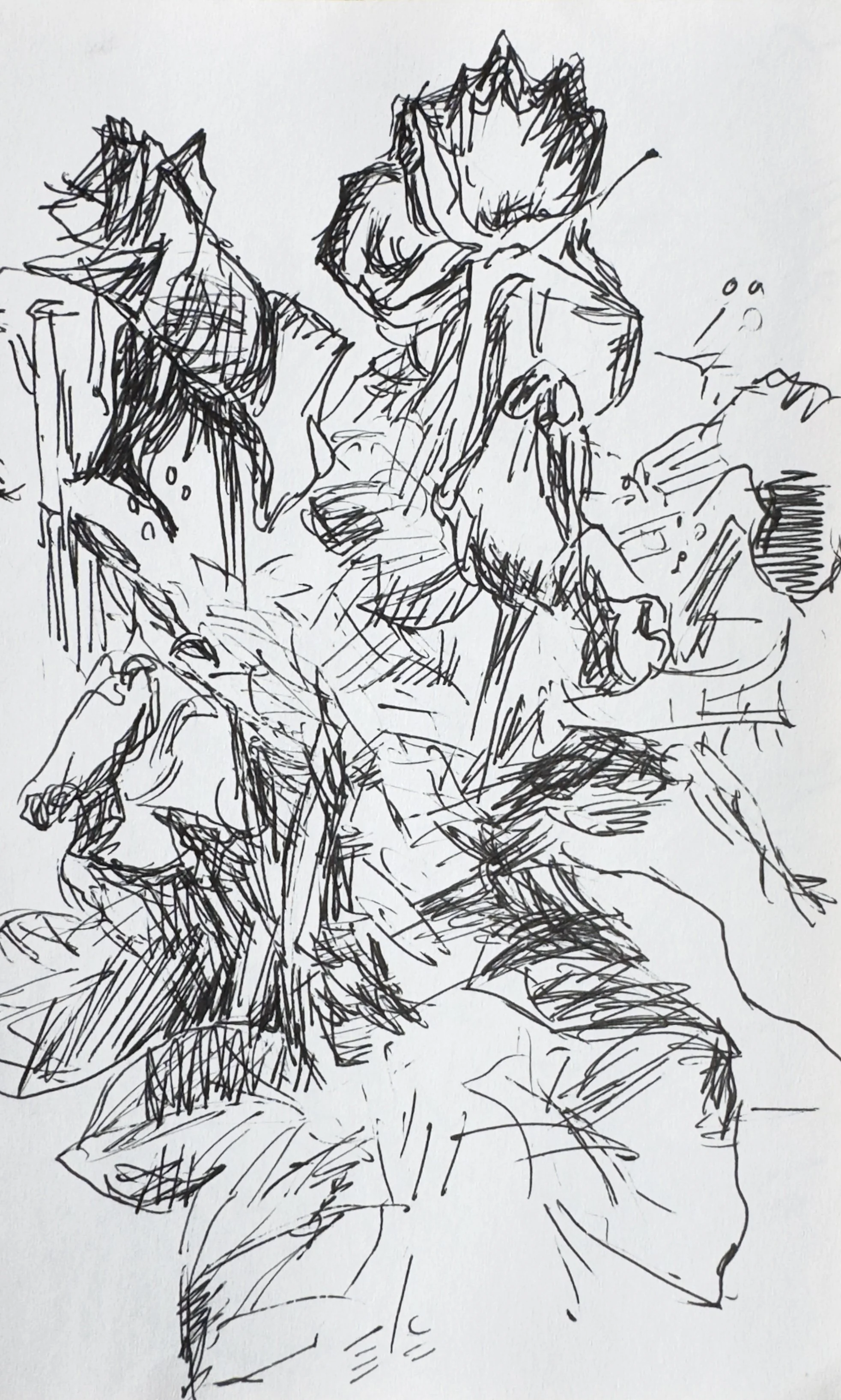 Crapo_drawing_2203.jpg