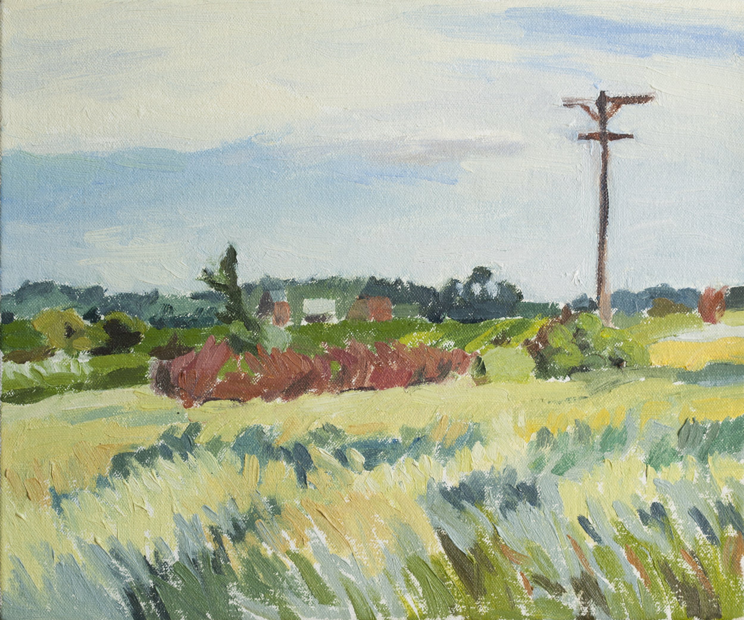 Field with telephone pole