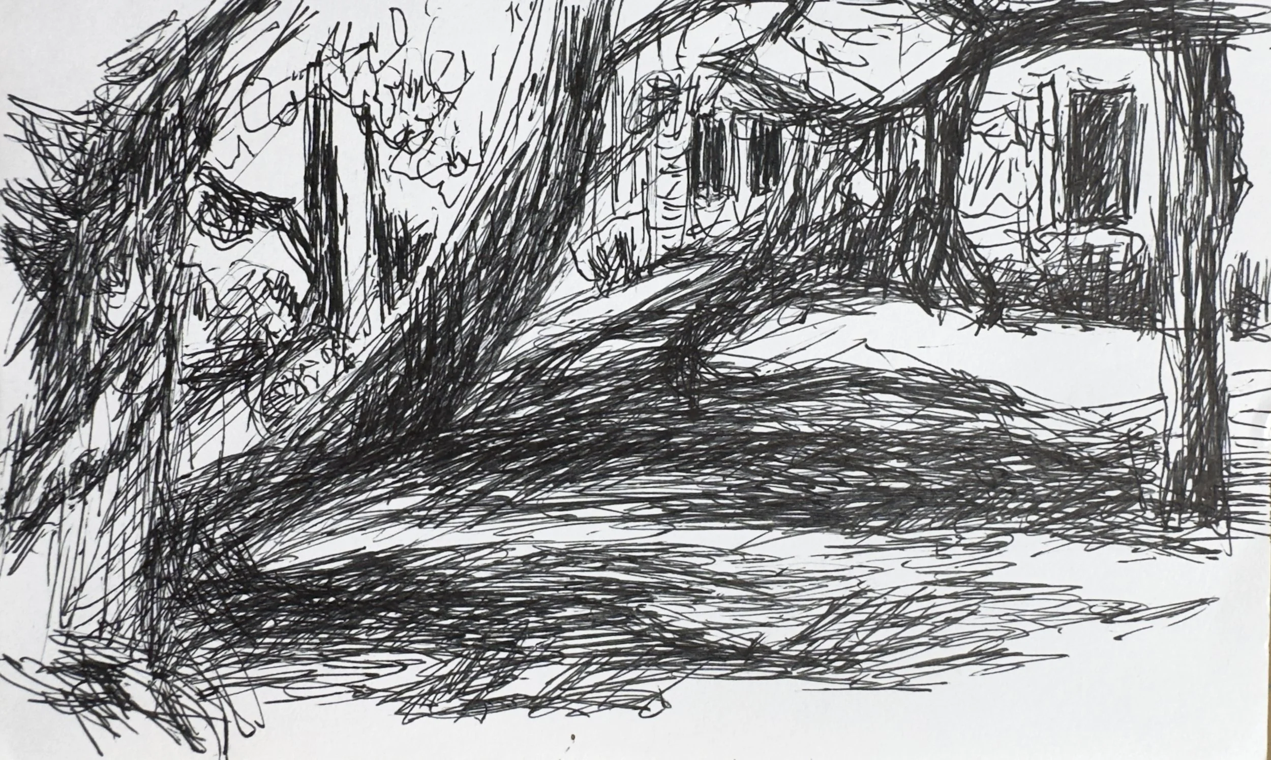 crapo_drawing-2541.jpg