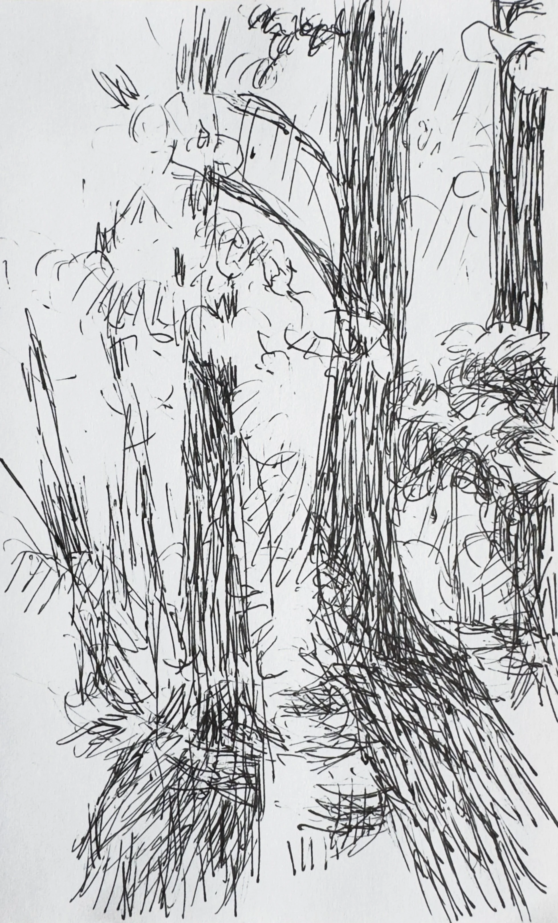 Crapo_drawing_2200.jpg