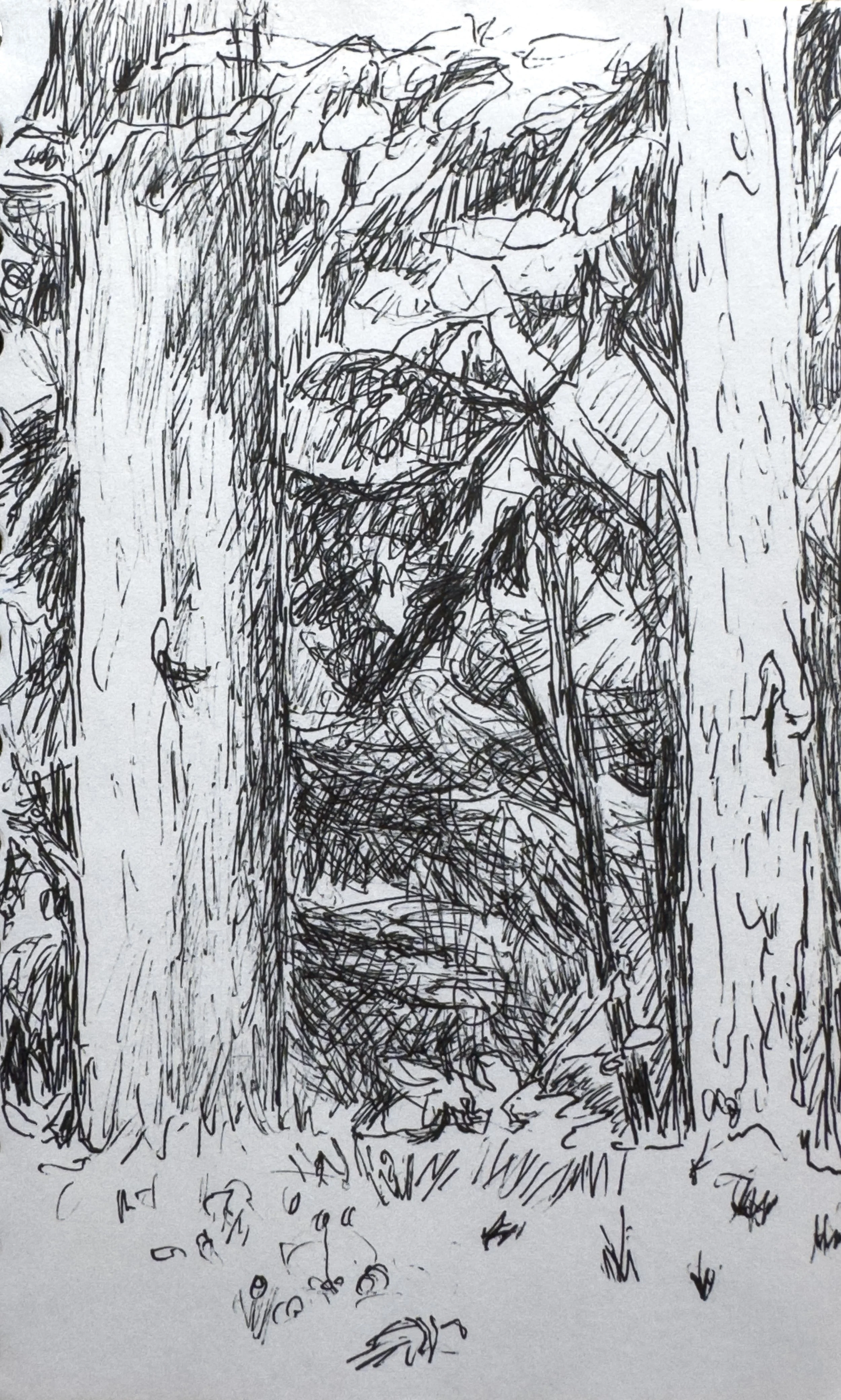 crapo_drawing-2536.jpg