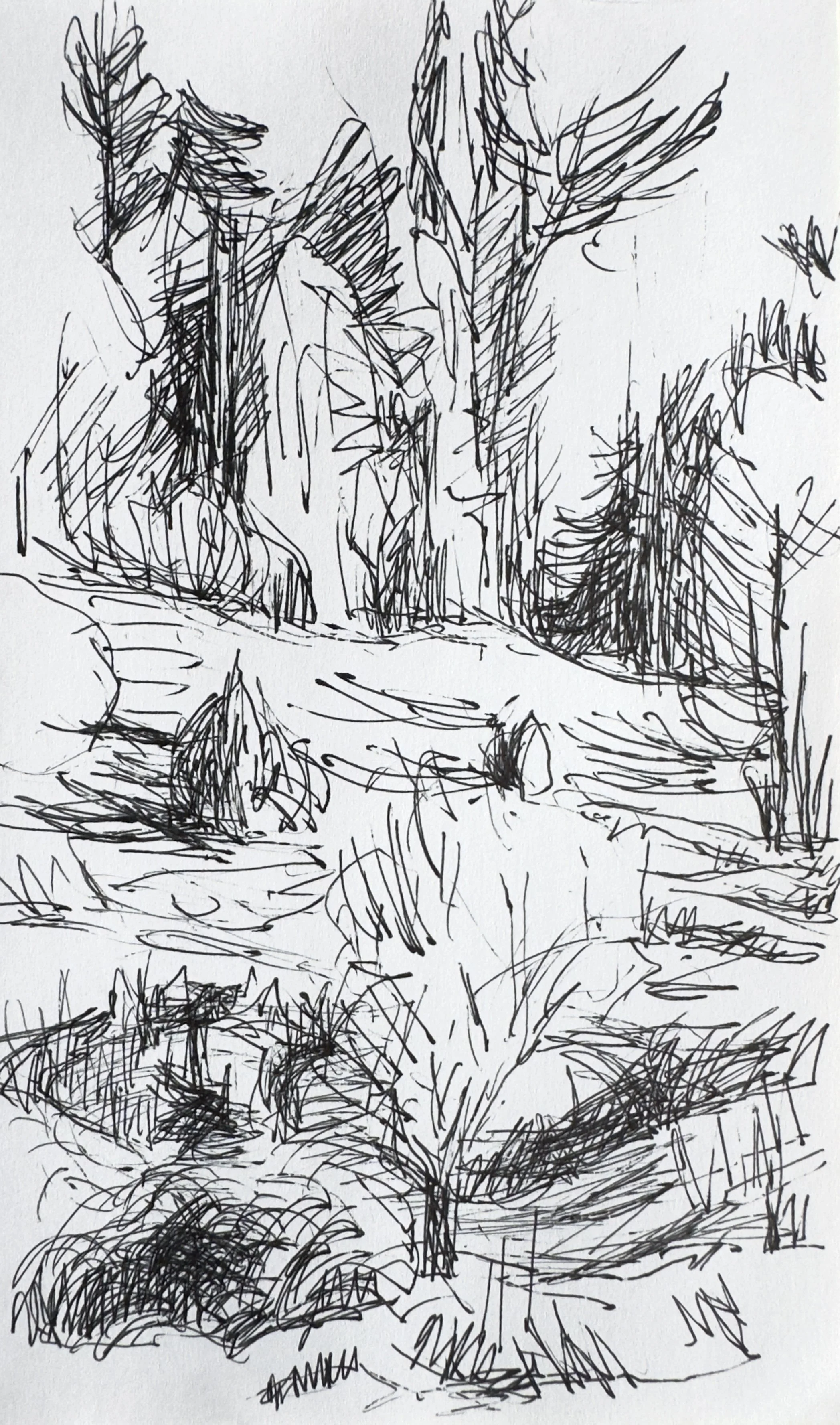 Crapo_drawing_2213.jpg