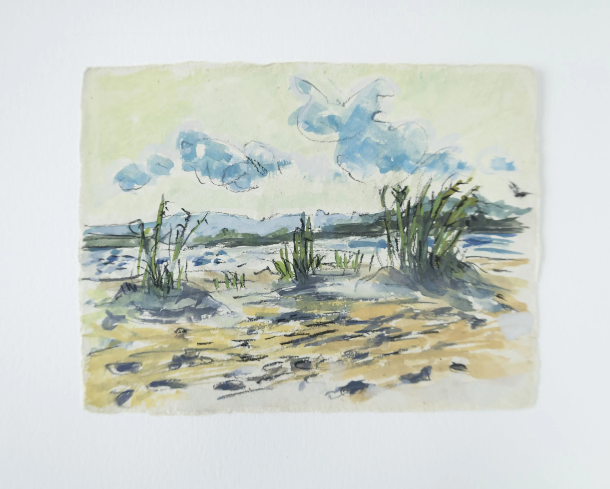 crapo_watercolor-0047.jpg