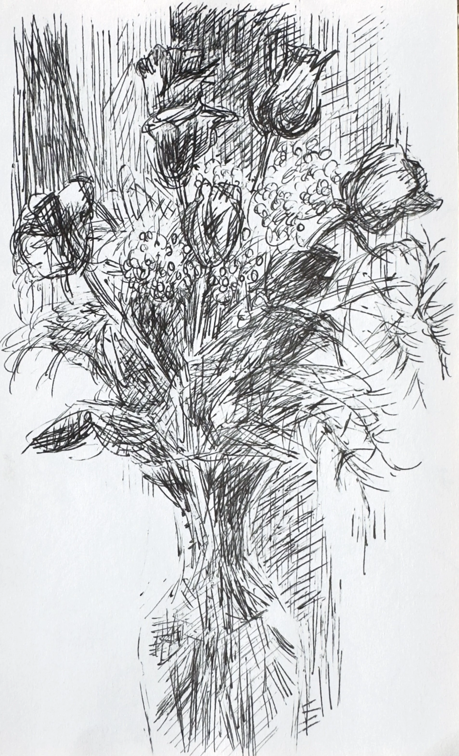 Crapo_drawing_2202.jpg