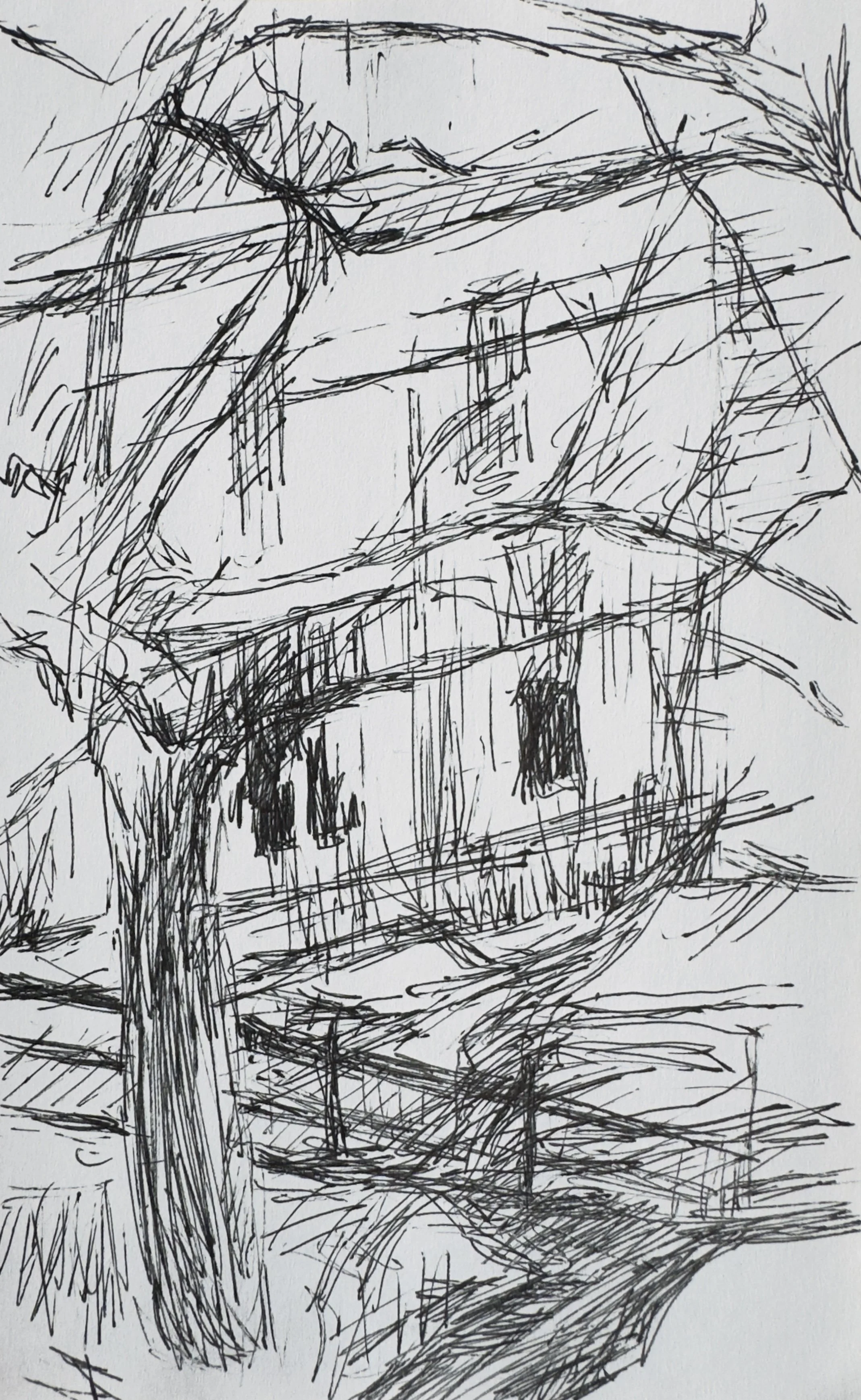 Crapo_drawing_2207.jpg