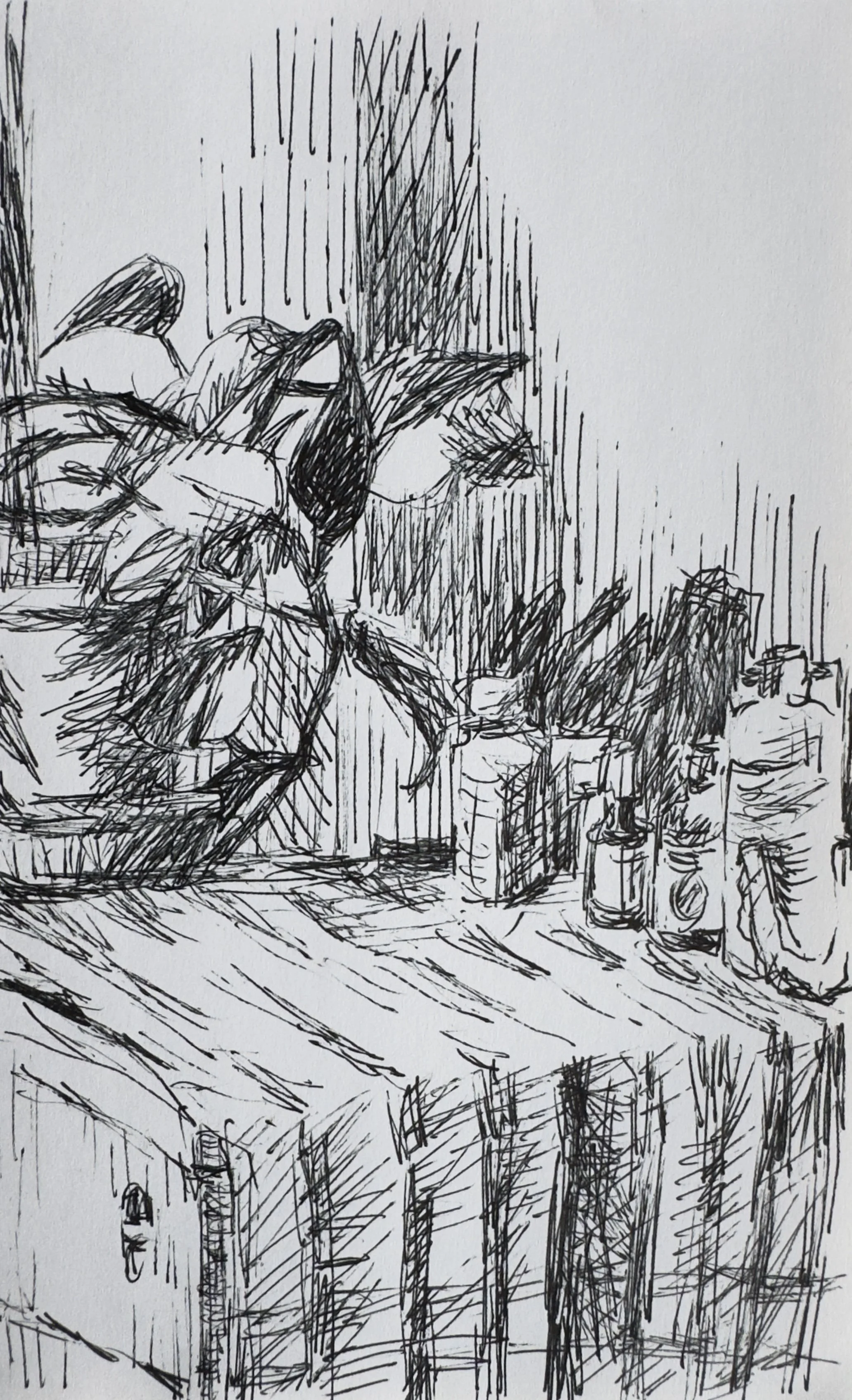 Crapo_drawing_2209.jpg
