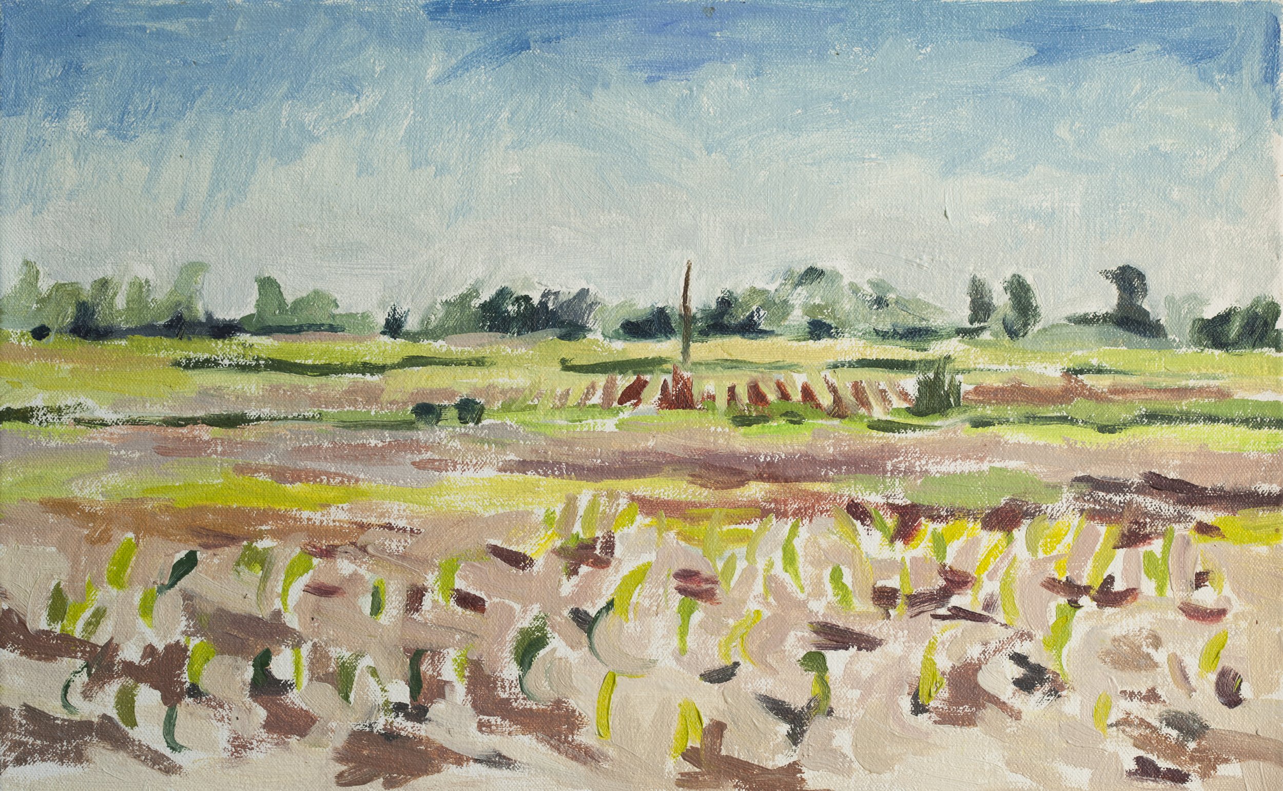 Michigan field