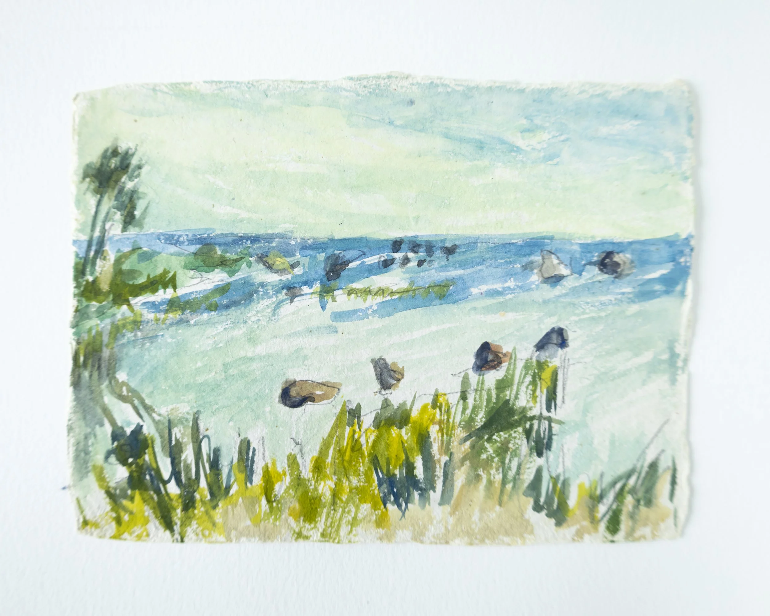 crapo_watercolor-0043.jpg