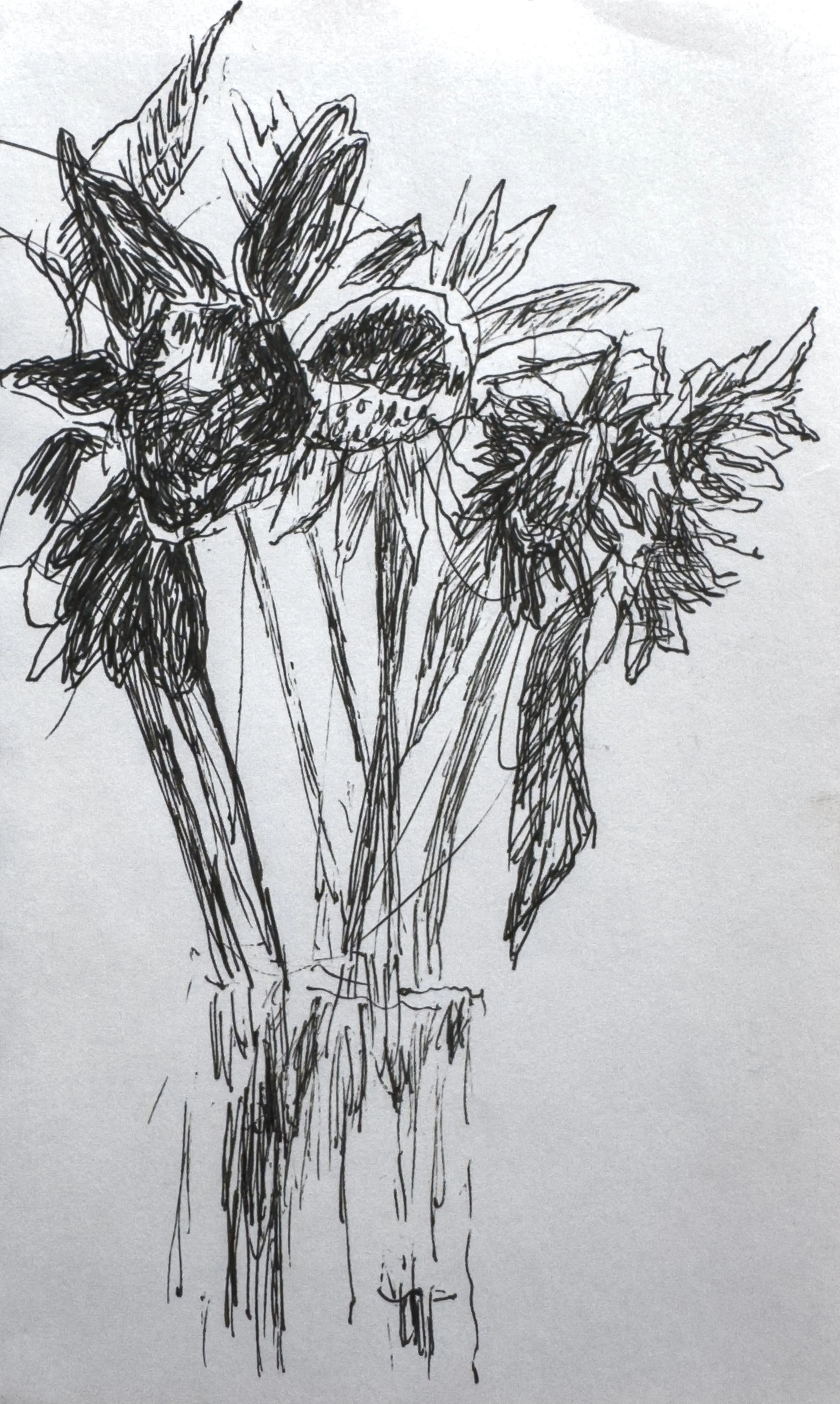 crapo_drawing-2546.jpg