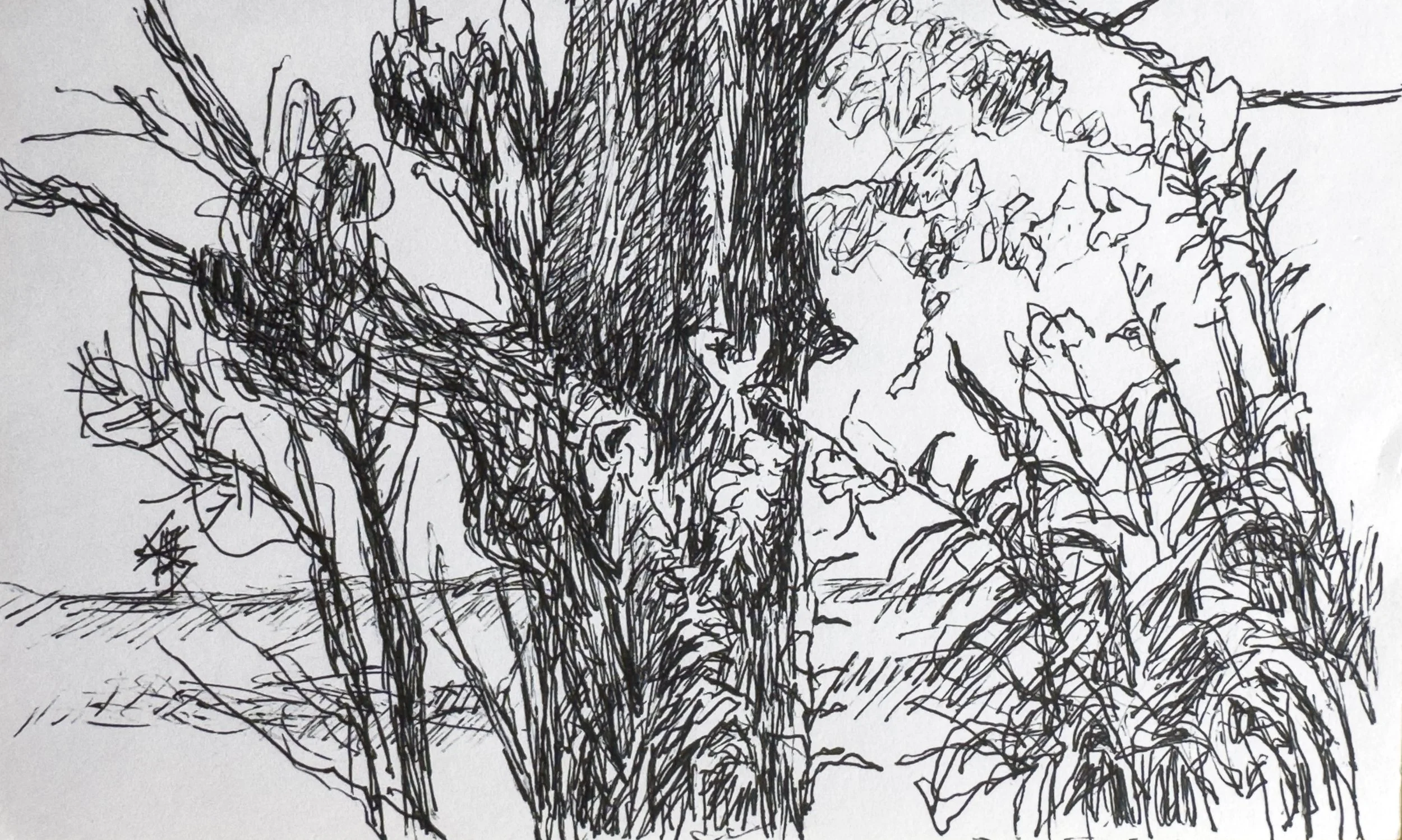 crapo_drawing-2539.jpg