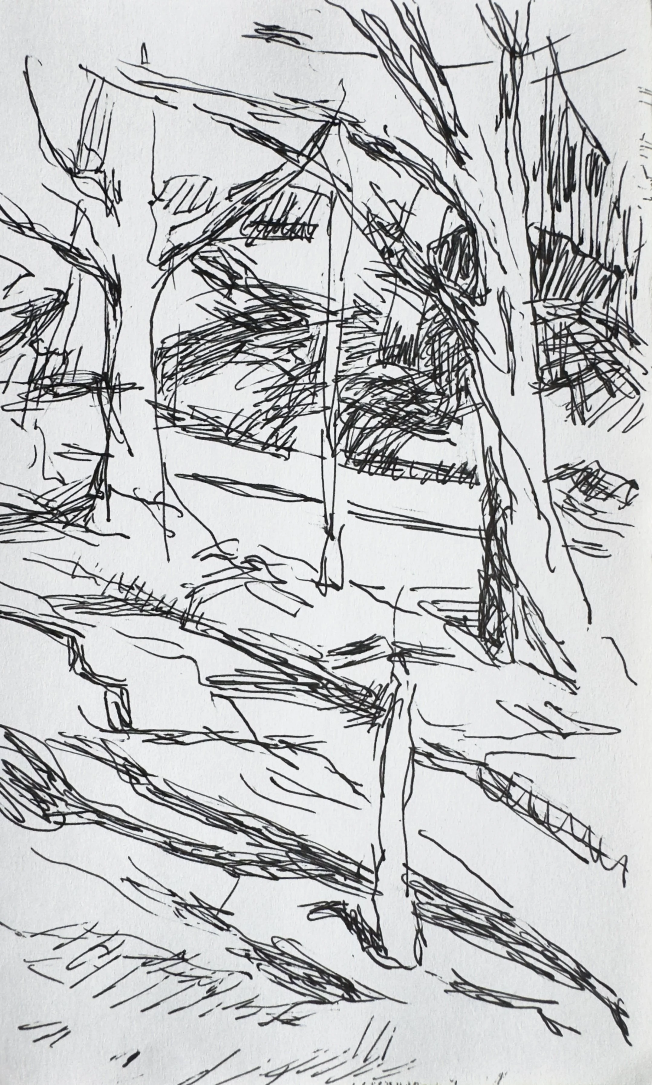 Crapo_drawing_2211.jpg