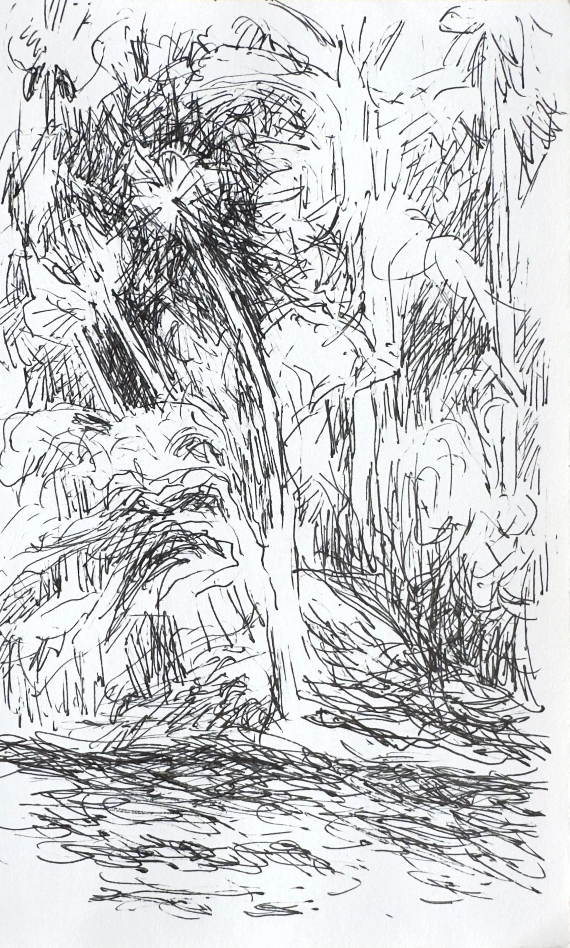 Crapo_drawing_2198.jpg