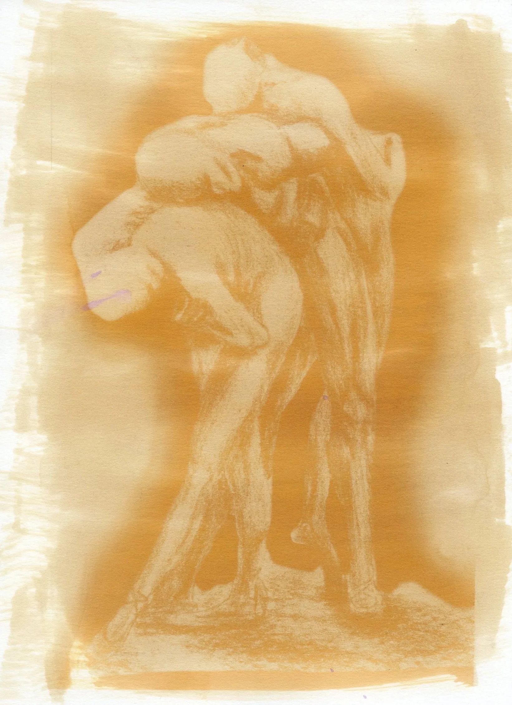 Magnolia Emulsion Anthotype