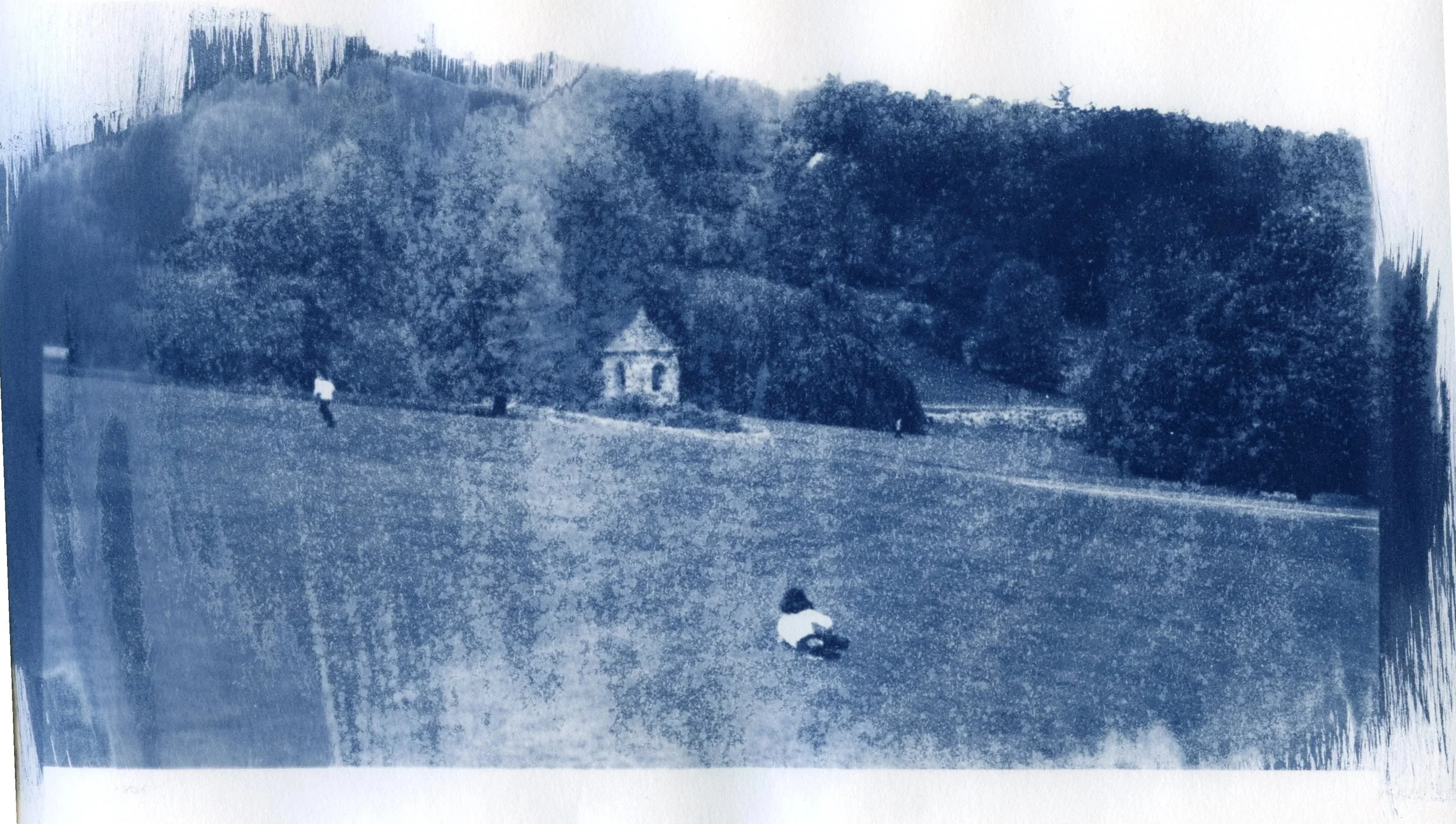 Cyanotype