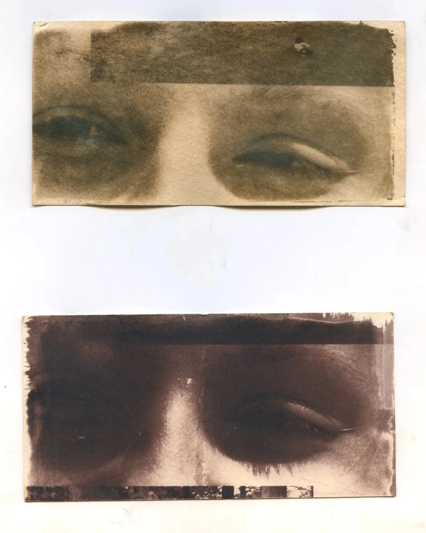 Bleach & Toned Cyanotypes
