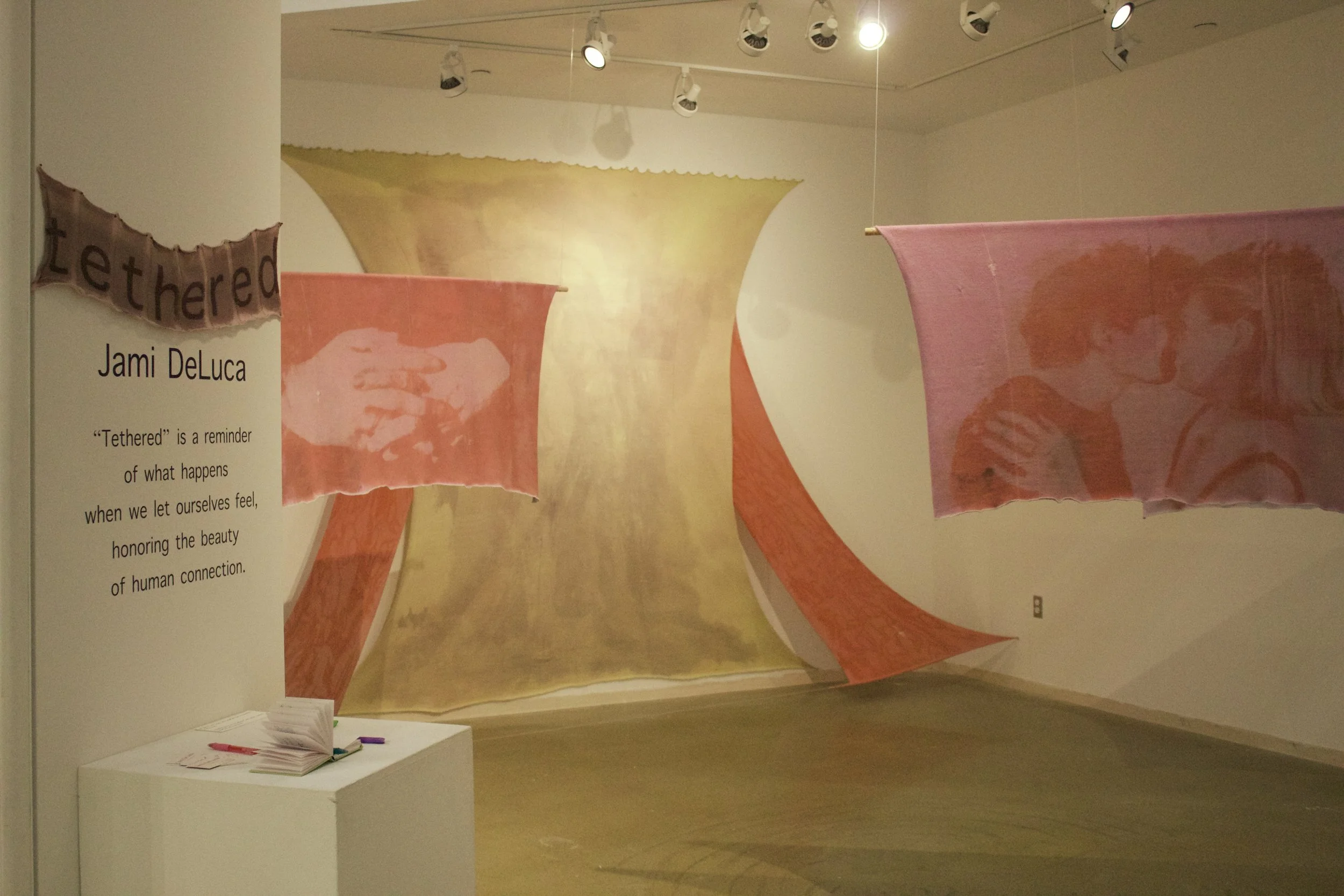 Tethered - BFA Thesis Exhibition