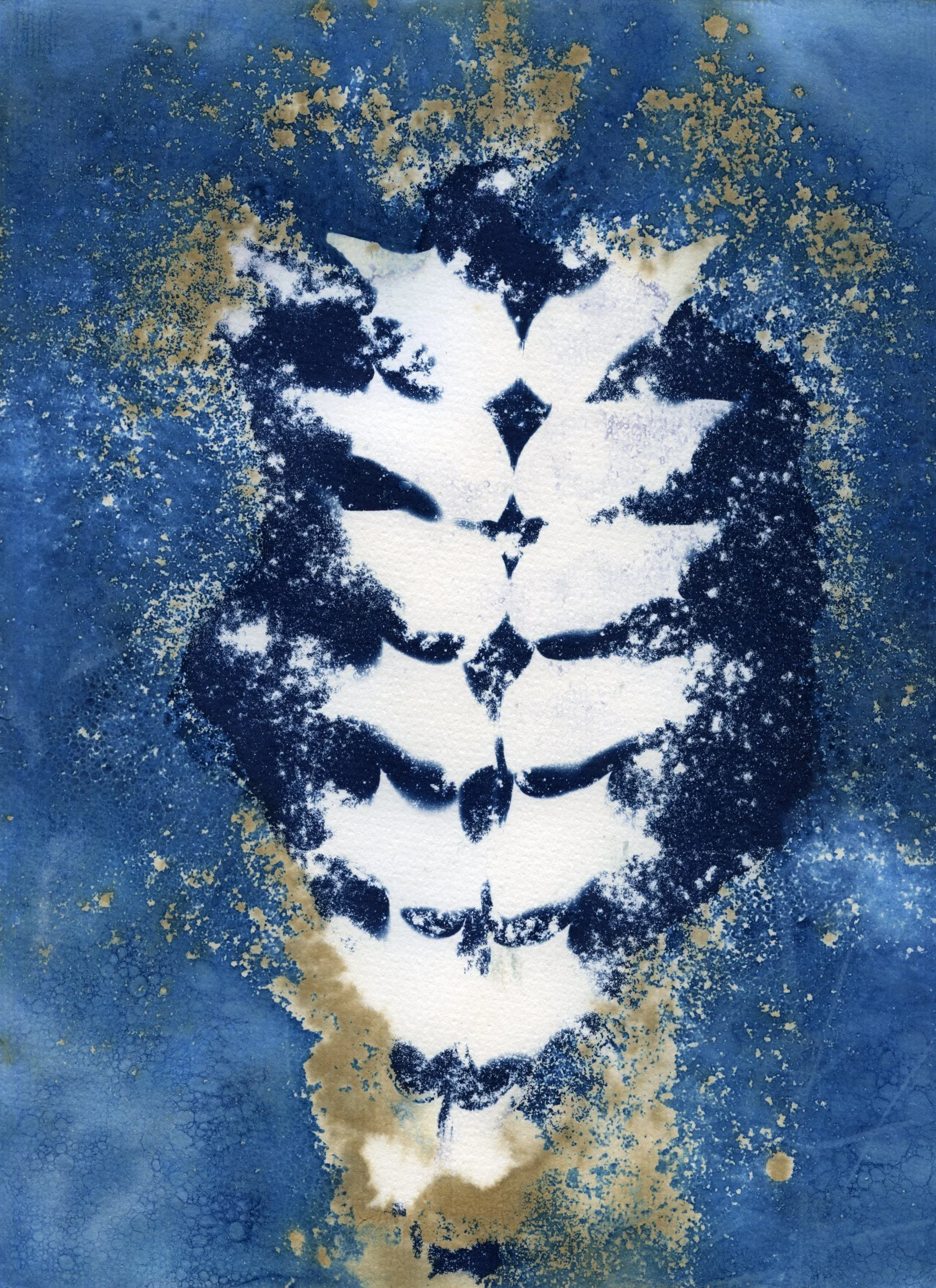 Wet Cyanotype