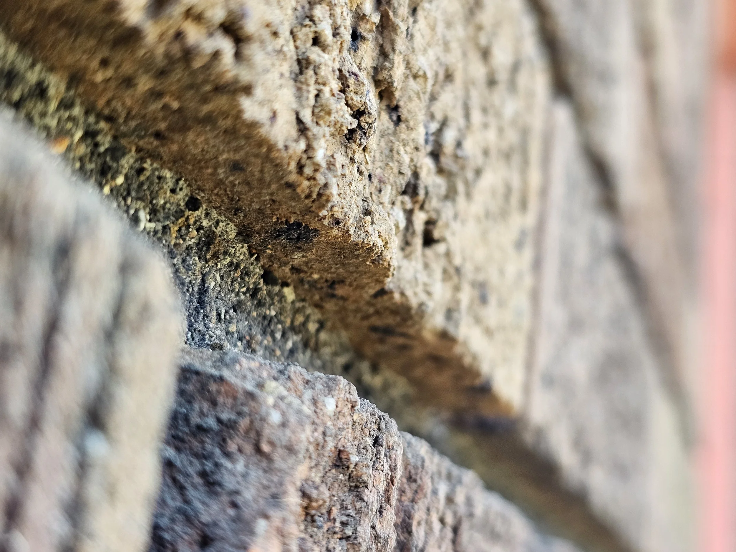 Close-up of a textured brick wall showing detailed surface of bricks with rough, uneven surfaces.