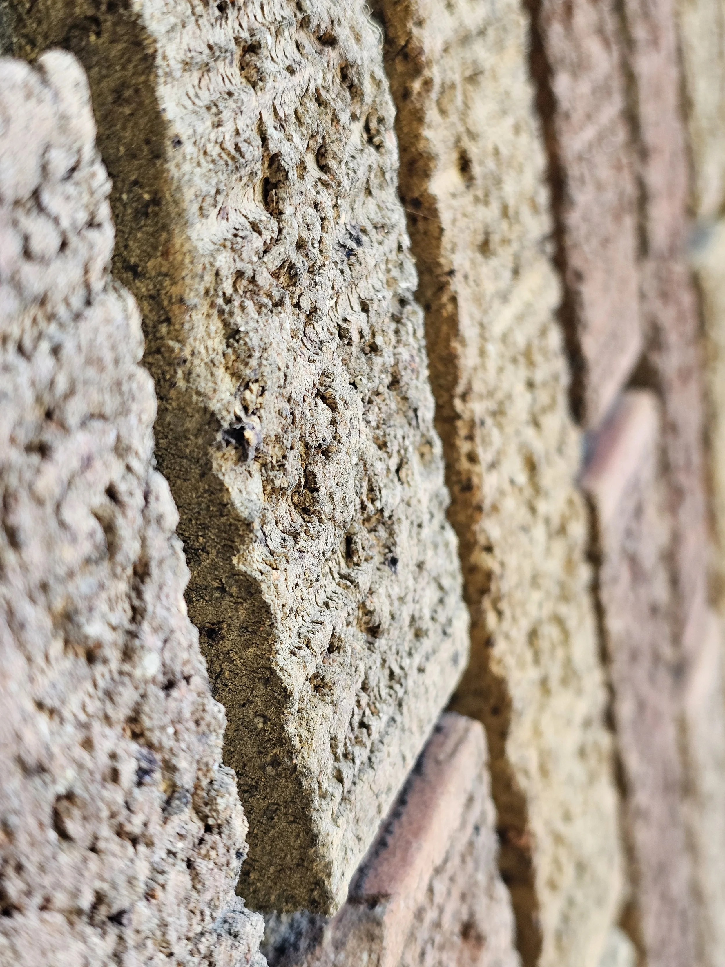 Close-up of a textured brick wall showing rough, weathered surface with reddish-brown and tan bricks.