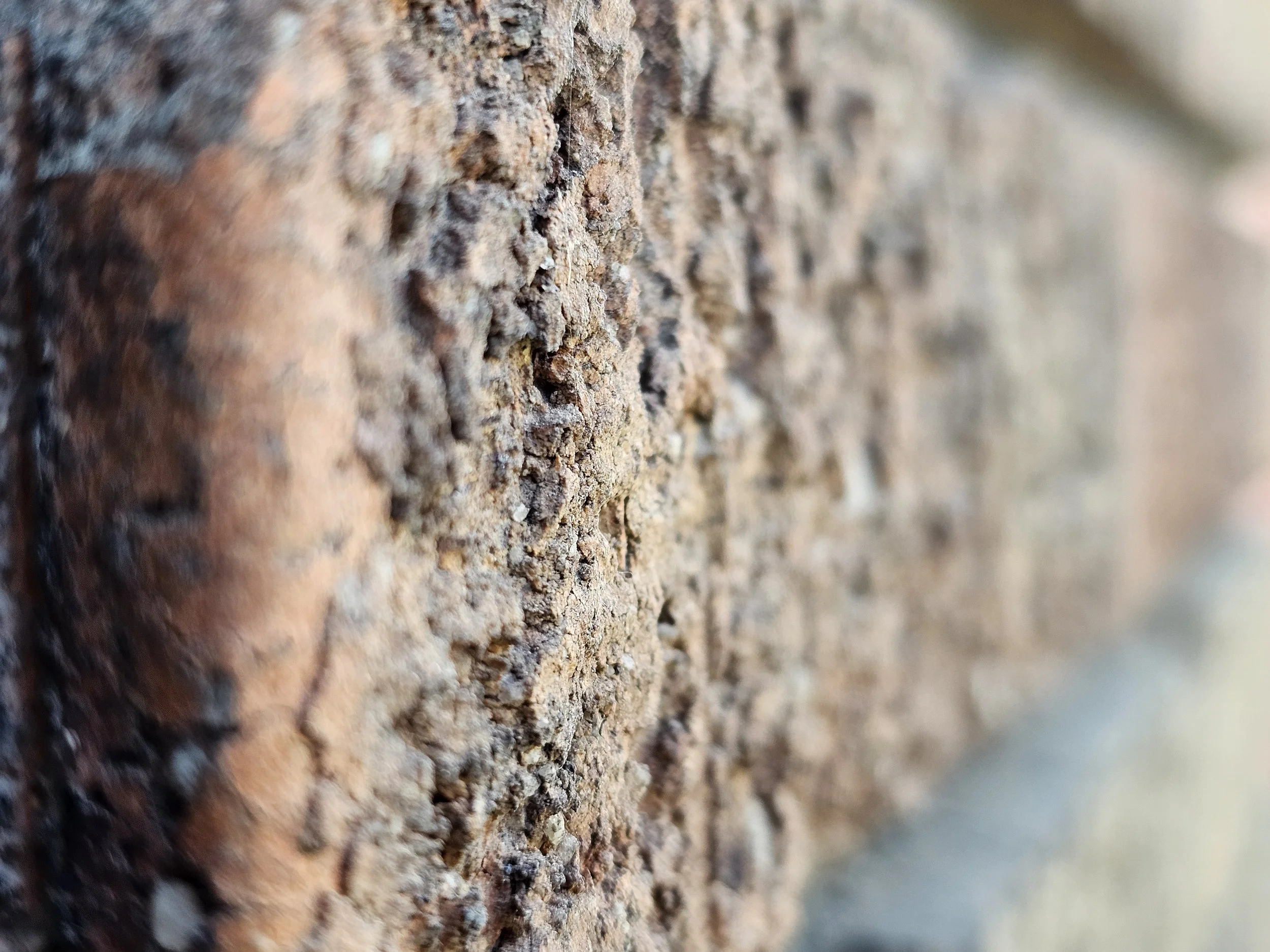 Close-up view of a rough, textured brick wall with various shades of brown and gray.