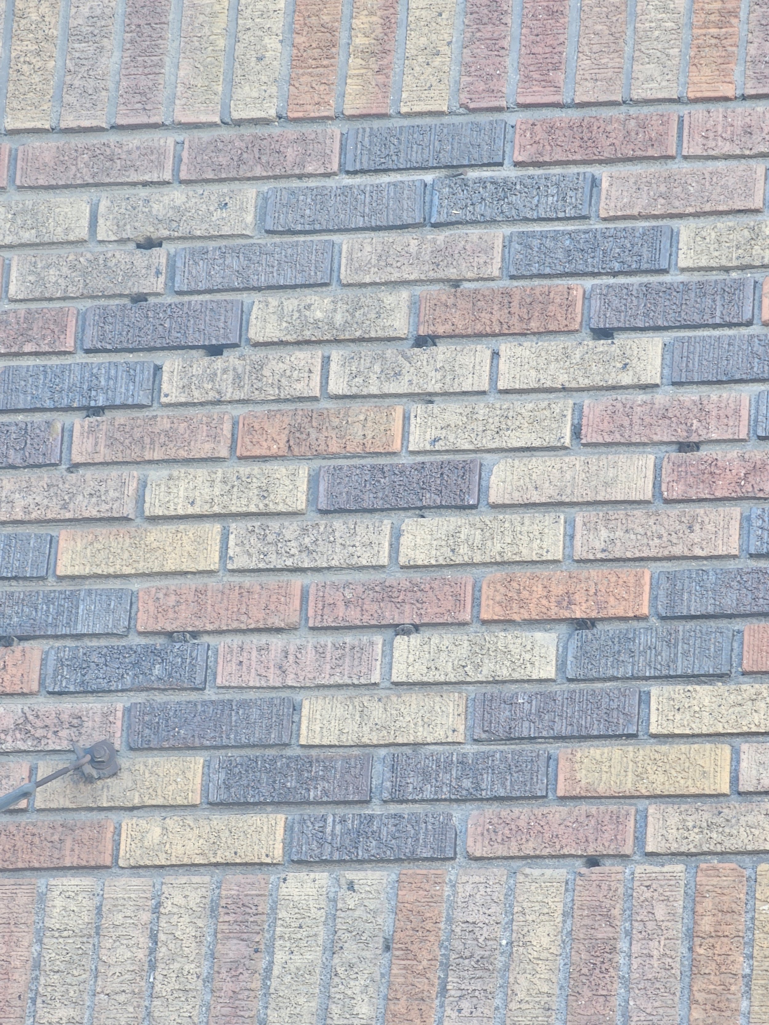 Close-up of a brick wall with a variety of differently colored bricks and mortar lines.