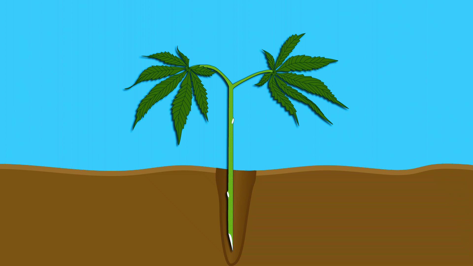 Green_State_Gardener_6.gif